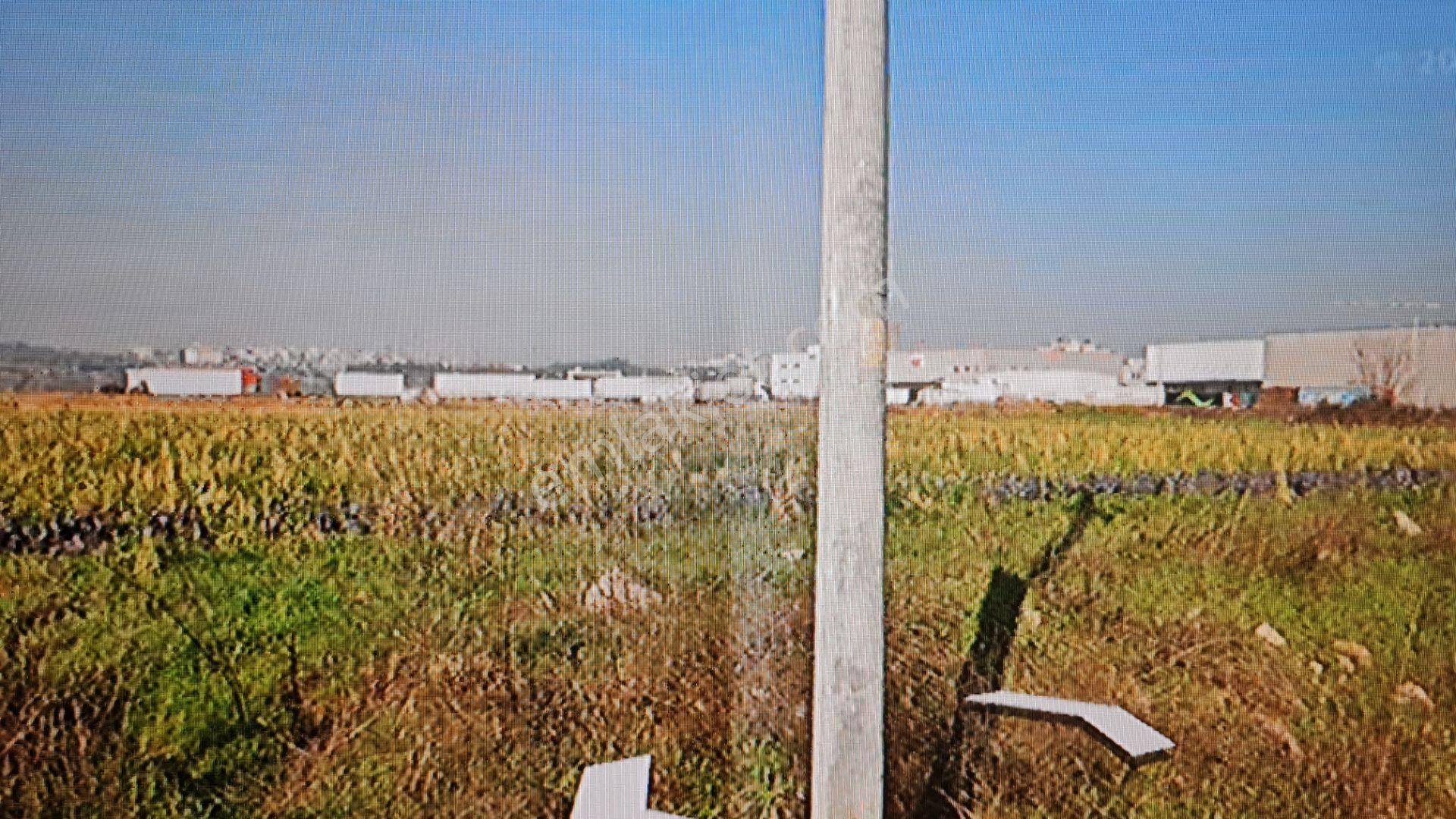 Bursa Nilüfer Ürünlüde Çok Kıymetli Satılık Hisseli Tarla - Görsel 11