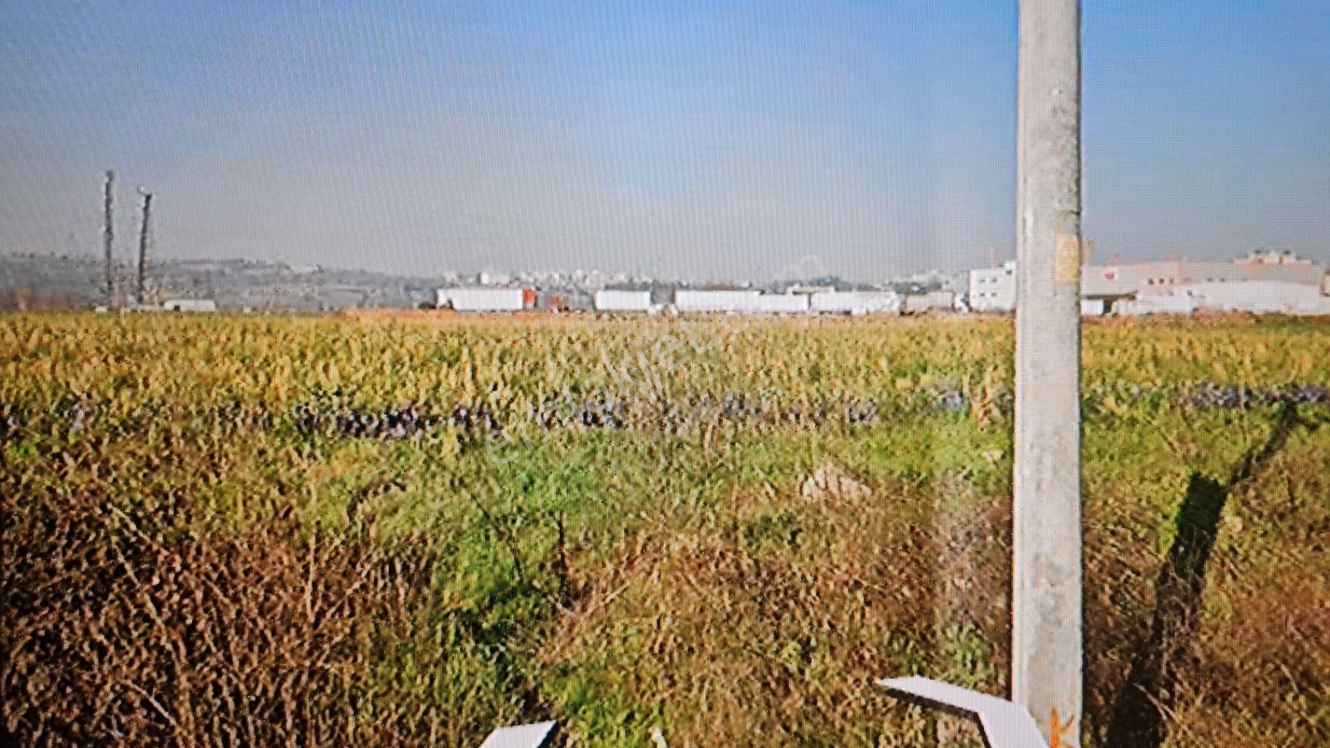 Bursa Nilüfer Ürünlüde Çok Kıymetli Satılık Hisseli Tarla - Görsel 10