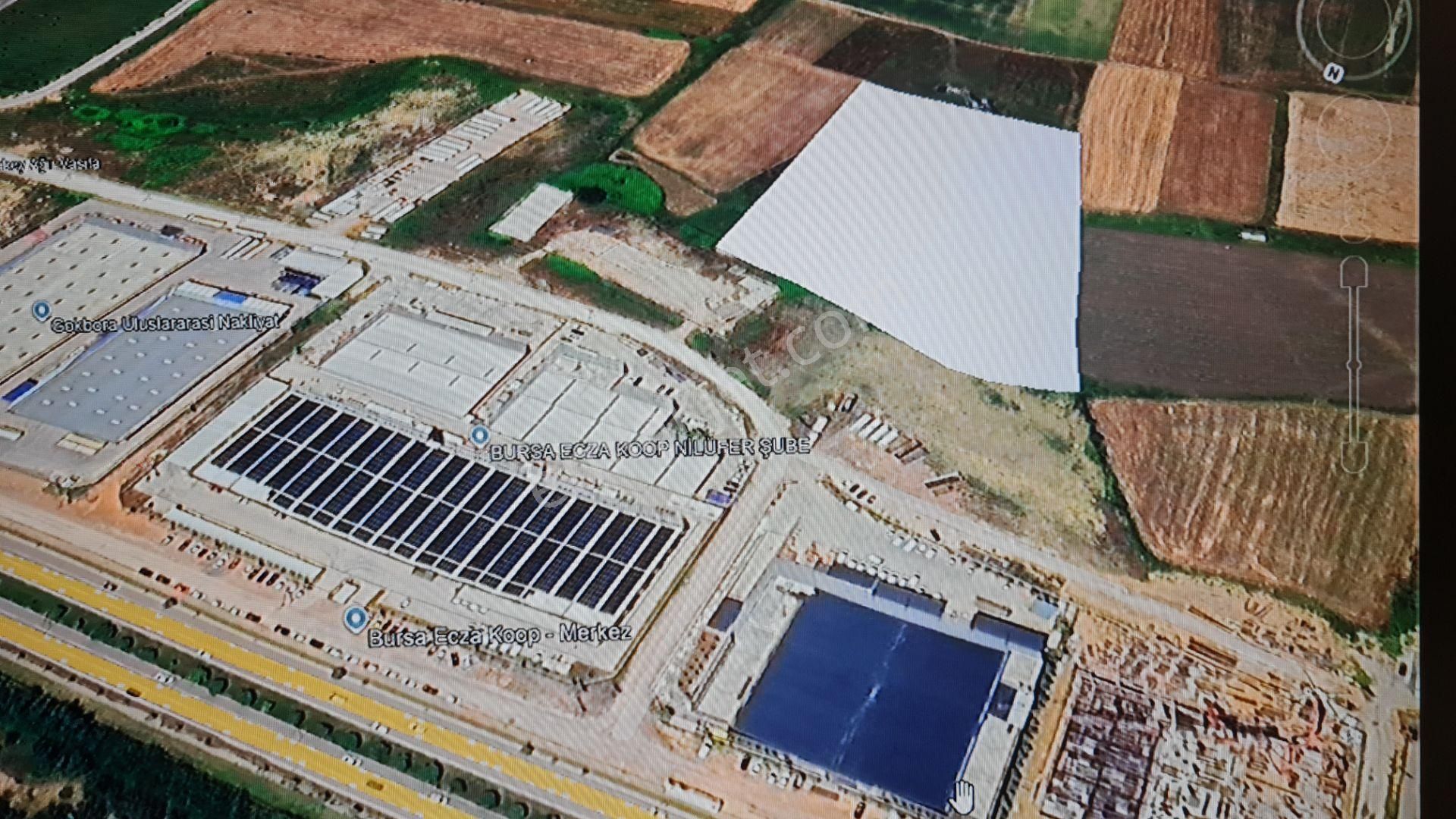 Bursa Nilüfer Ürünlüde Çok Kıymetli Satılık Hisseli Tarla - Görsel 6