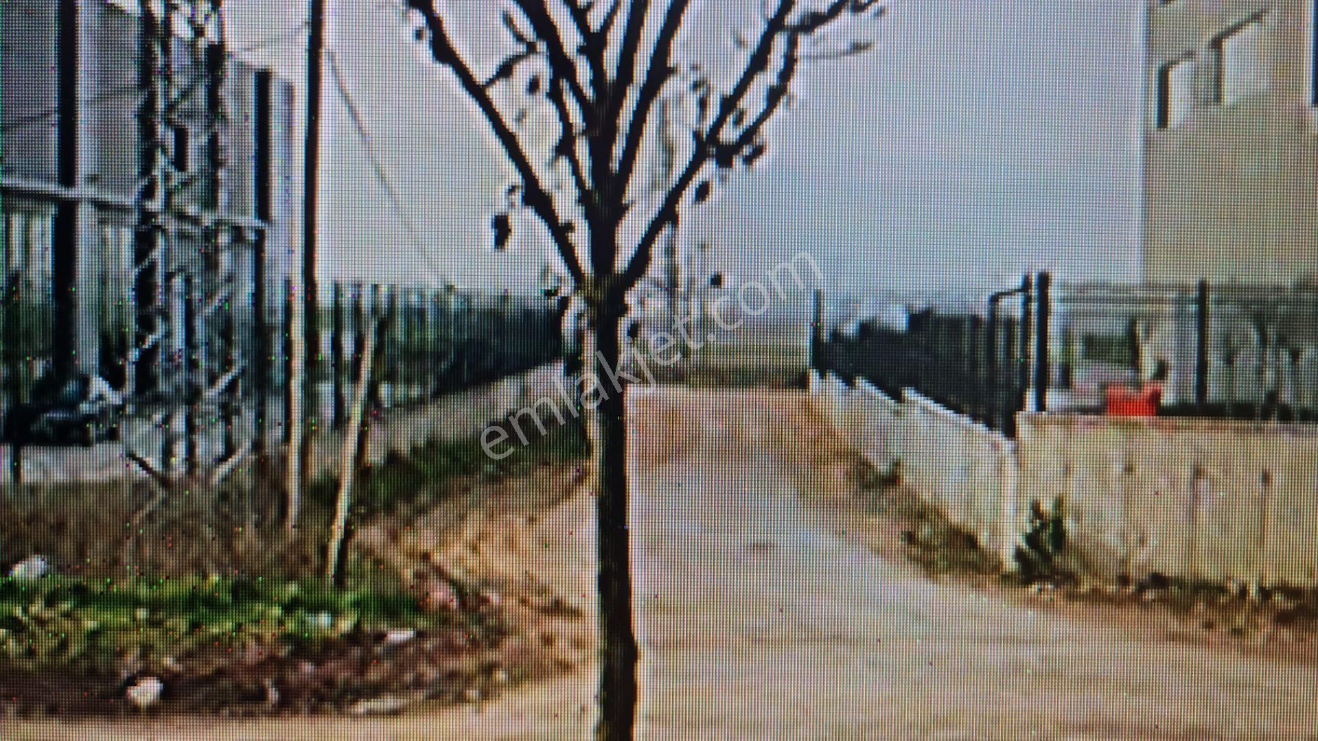 Bursa Nilüfer Ürünlüde Çok Kıymetli Satılık Hisseli Tarla - Görsel 5