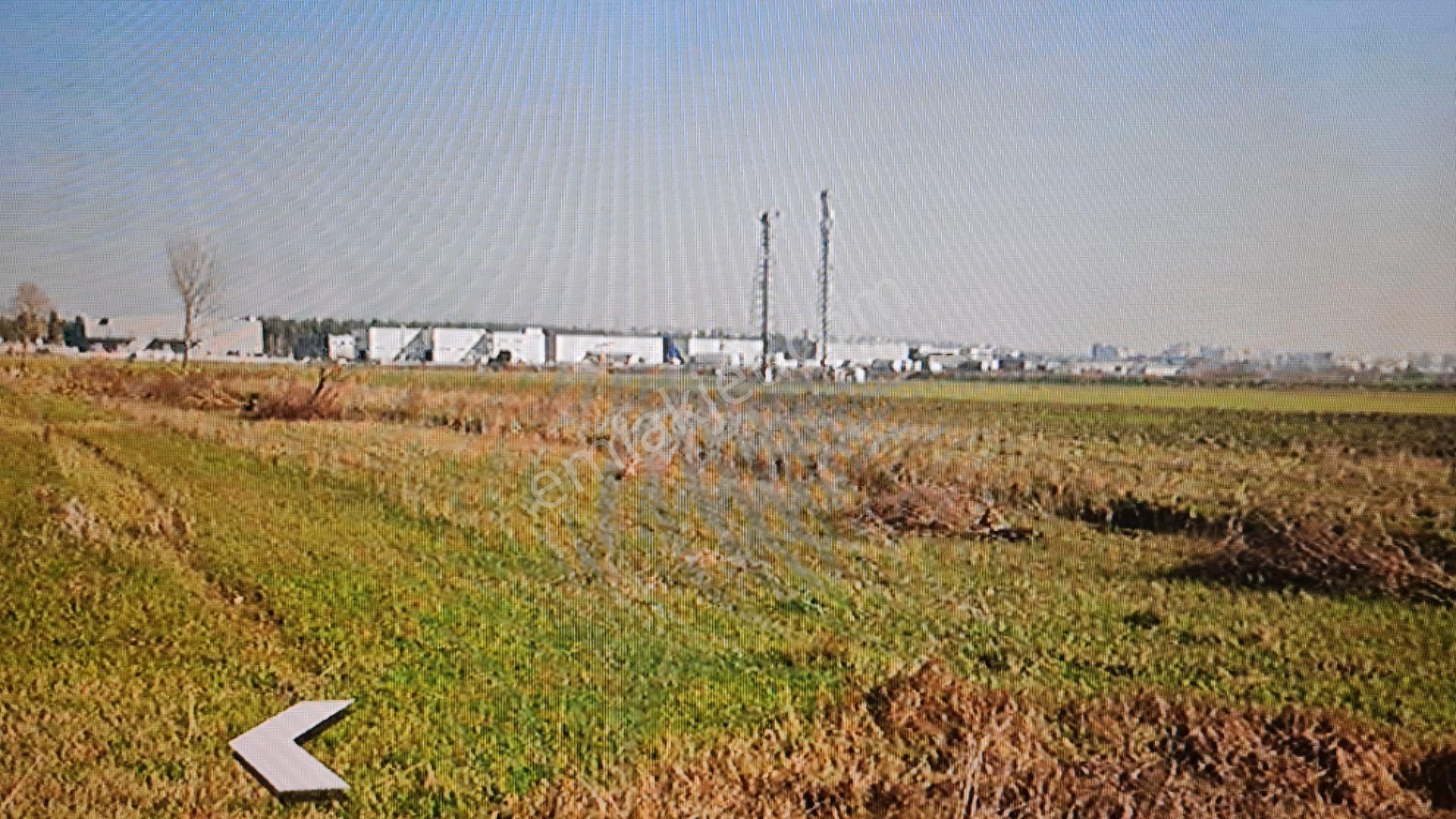 Bursa Nilüfer Ürünlüde Çok Kıymetli Satılık Hisseli Tarla - Görsel 15