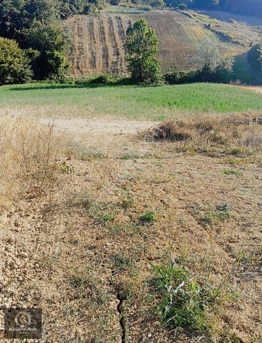 Kandıra Mülküşehsuvar İmarlı Yatırıma Uygun 1543 M2