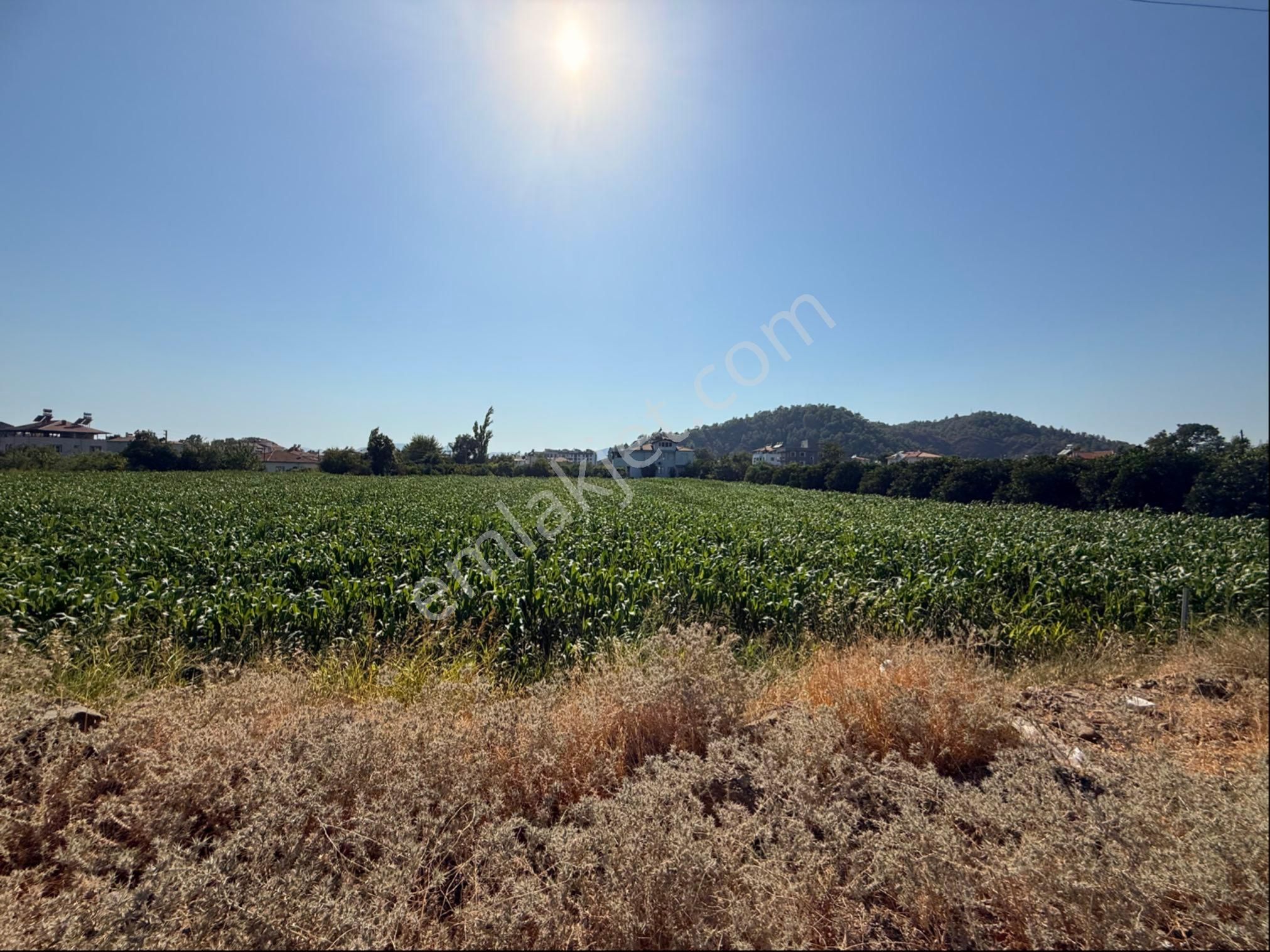 Fethiye Yolu Üzeri Kaçırılmaz Fırsat! Ticari İmarlı, 8800 M² Arsa - Görsel 5