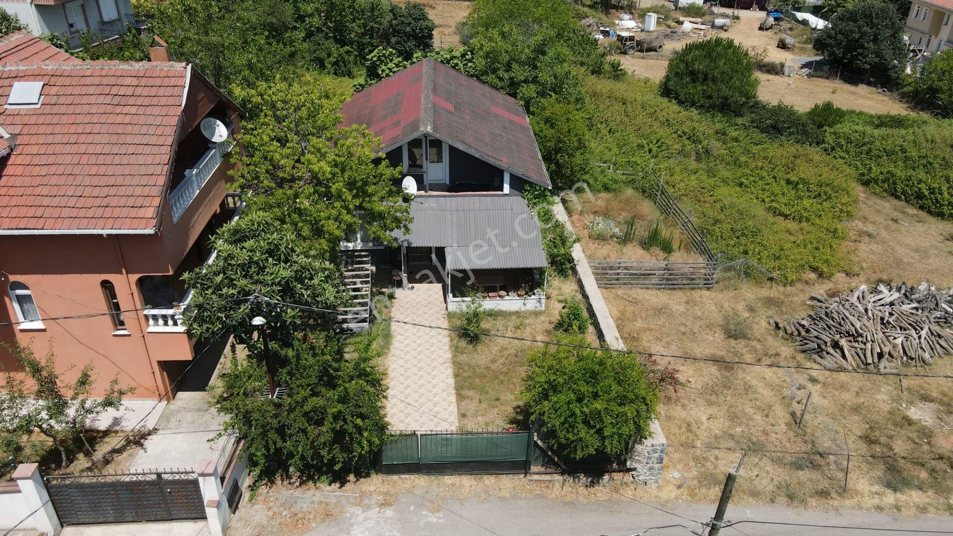 İstanbul'da Bir Tarafı Orman,ilerisi Deniz,müstakil Hayat Tadı. - Görsel 5