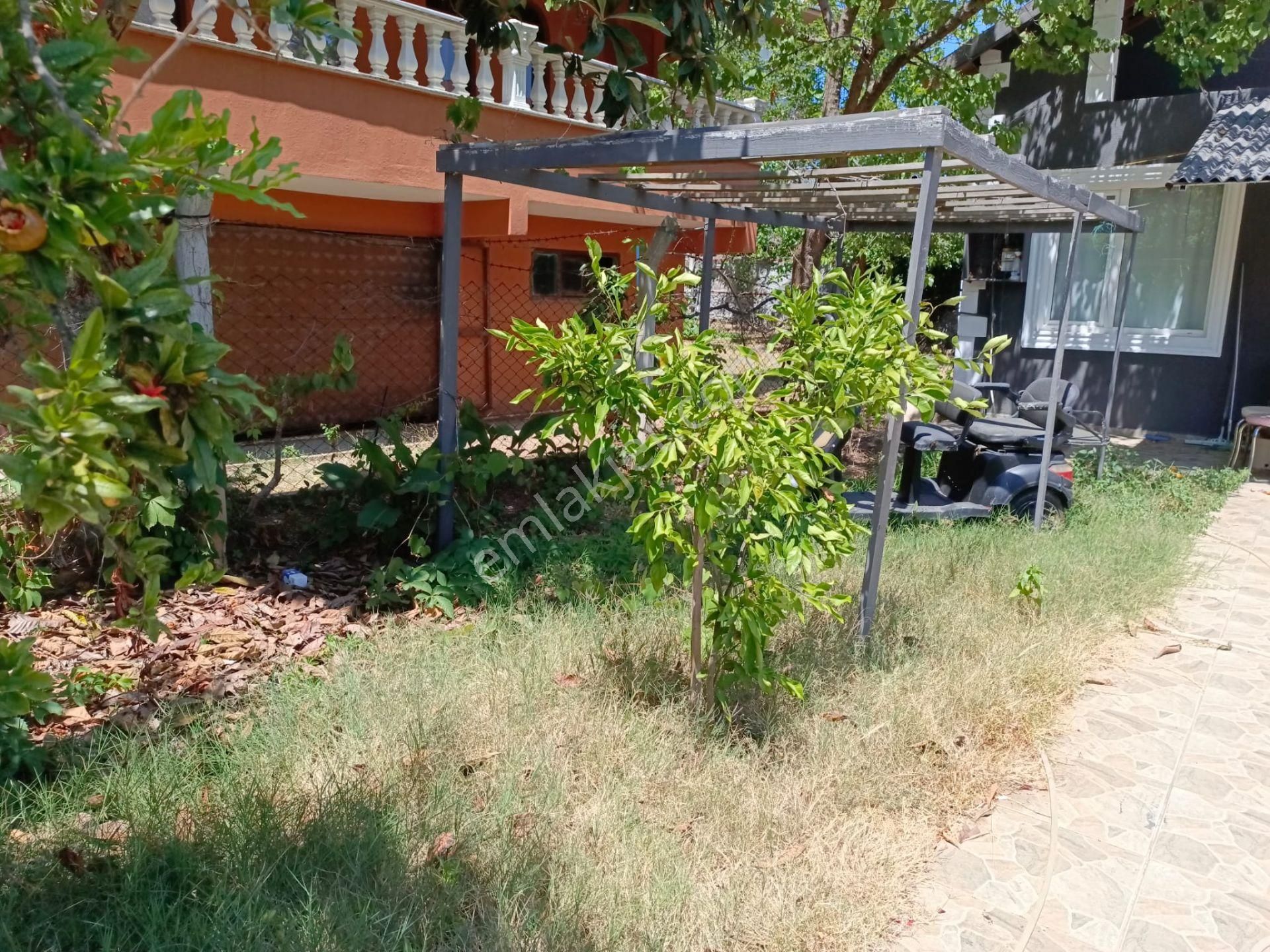 İstanbul'da Bir Tarafı Orman,ilerisi Deniz,müstakil Hayat Tadı. - Görsel 11