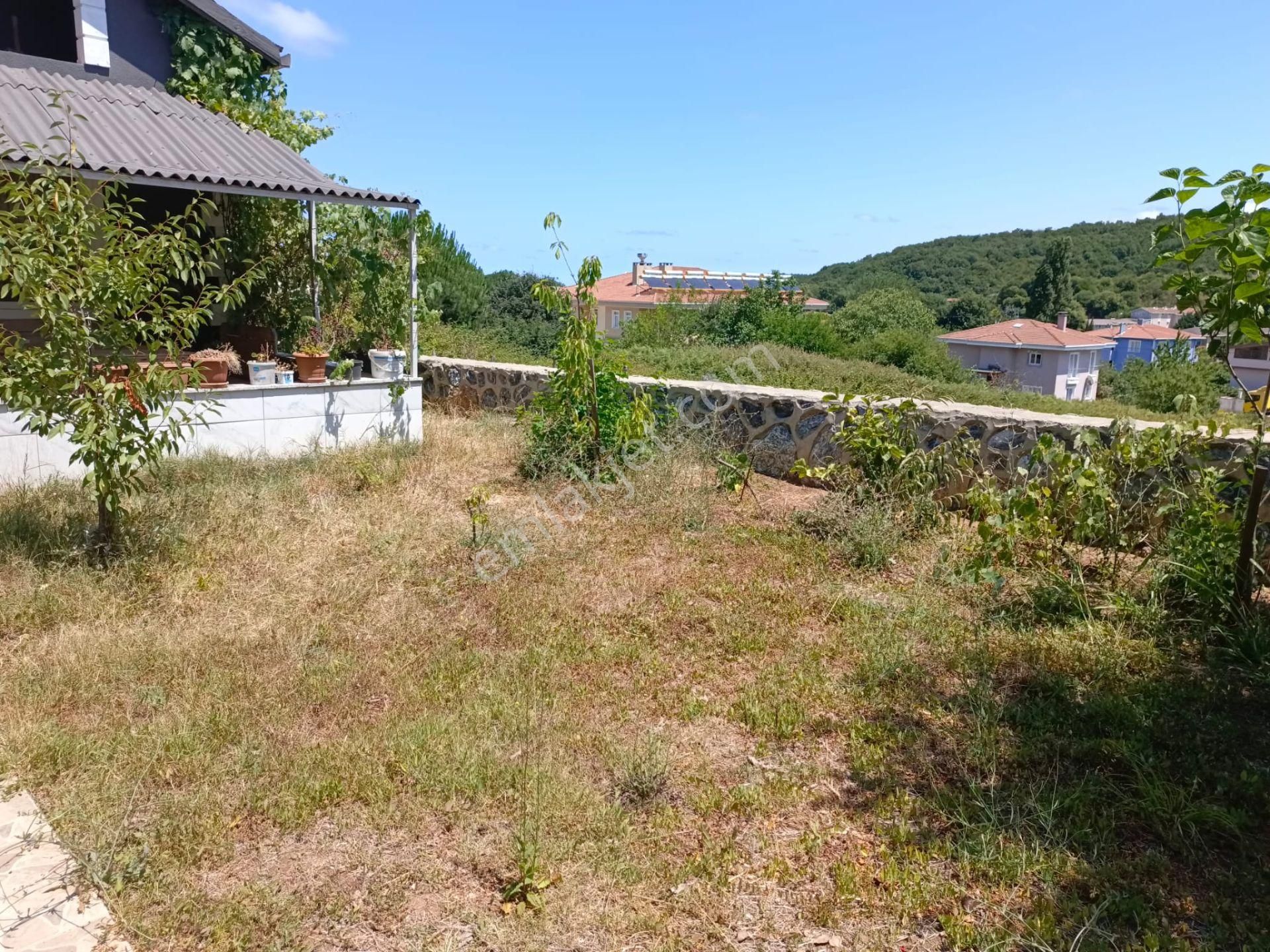 İstanbul'da Bir Tarafı Orman,ilerisi Deniz,müstakil Hayat Tadı. - Görsel 12