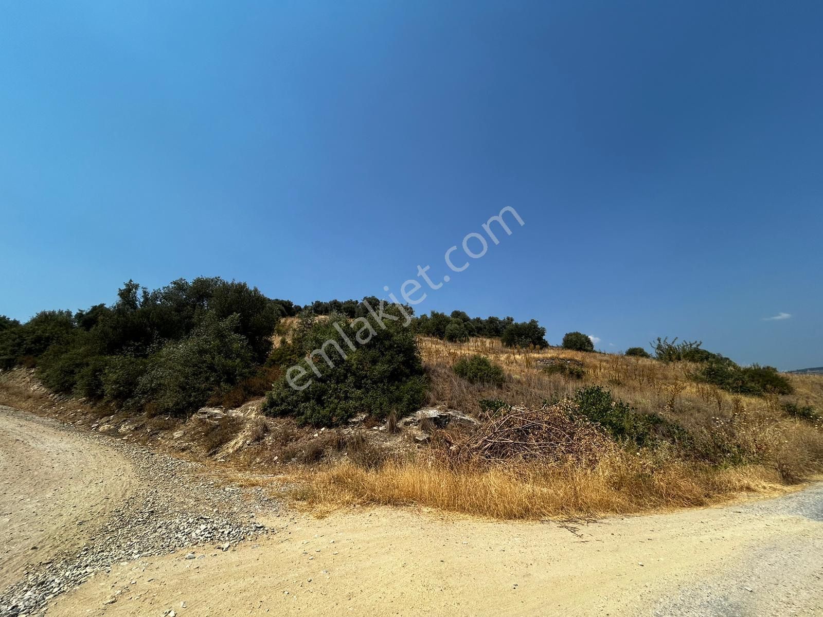 C21 Cius; İznik Ömerli'de Köşe Parsel 49.410 M2 Satılık Arazi - Görsel 6