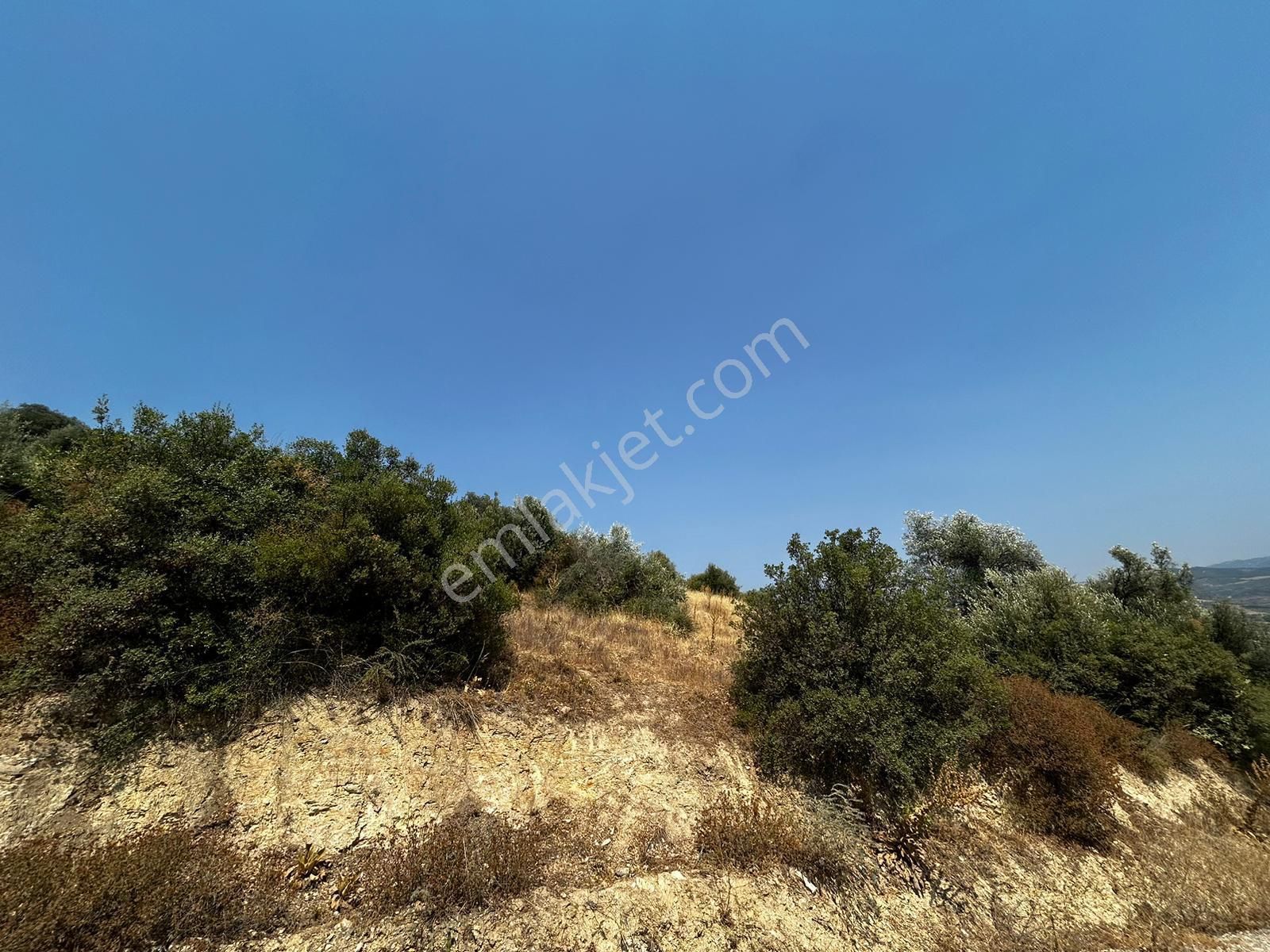 C21 Cius; İznik Ömerli'de Köşe Parsel 49.410 M2 Satılık Arazi - Görsel 9