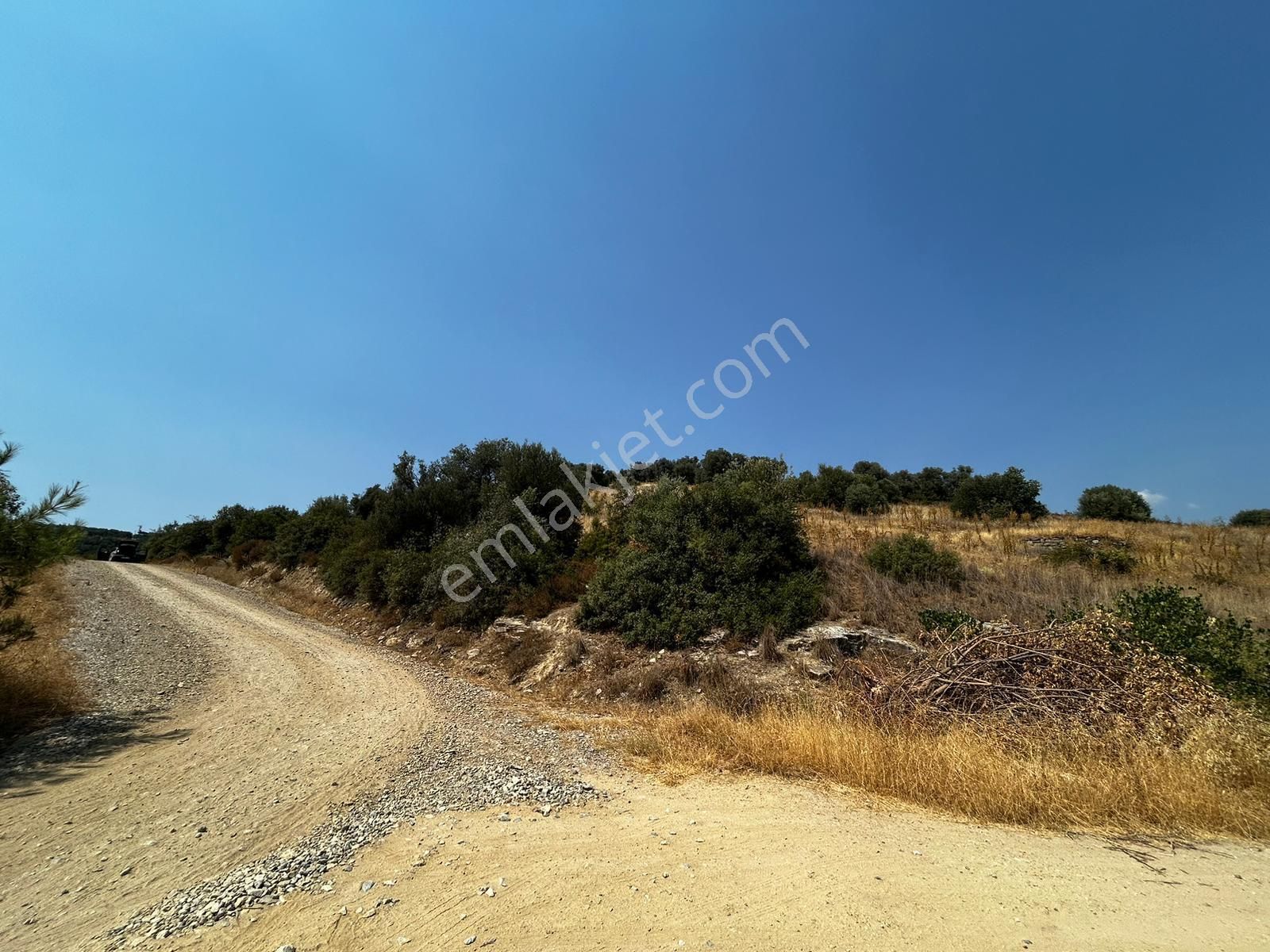 C21 Cius; İznik Ömerli'de Köşe Parsel 49.410 M2 Satılık Arazi - Görsel 5
