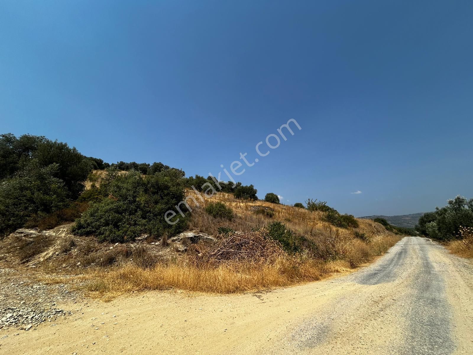 C21 Cius; İznik Ömerli'de Köşe Parsel 49.410 M2 Satılık Arazi - Görsel 8