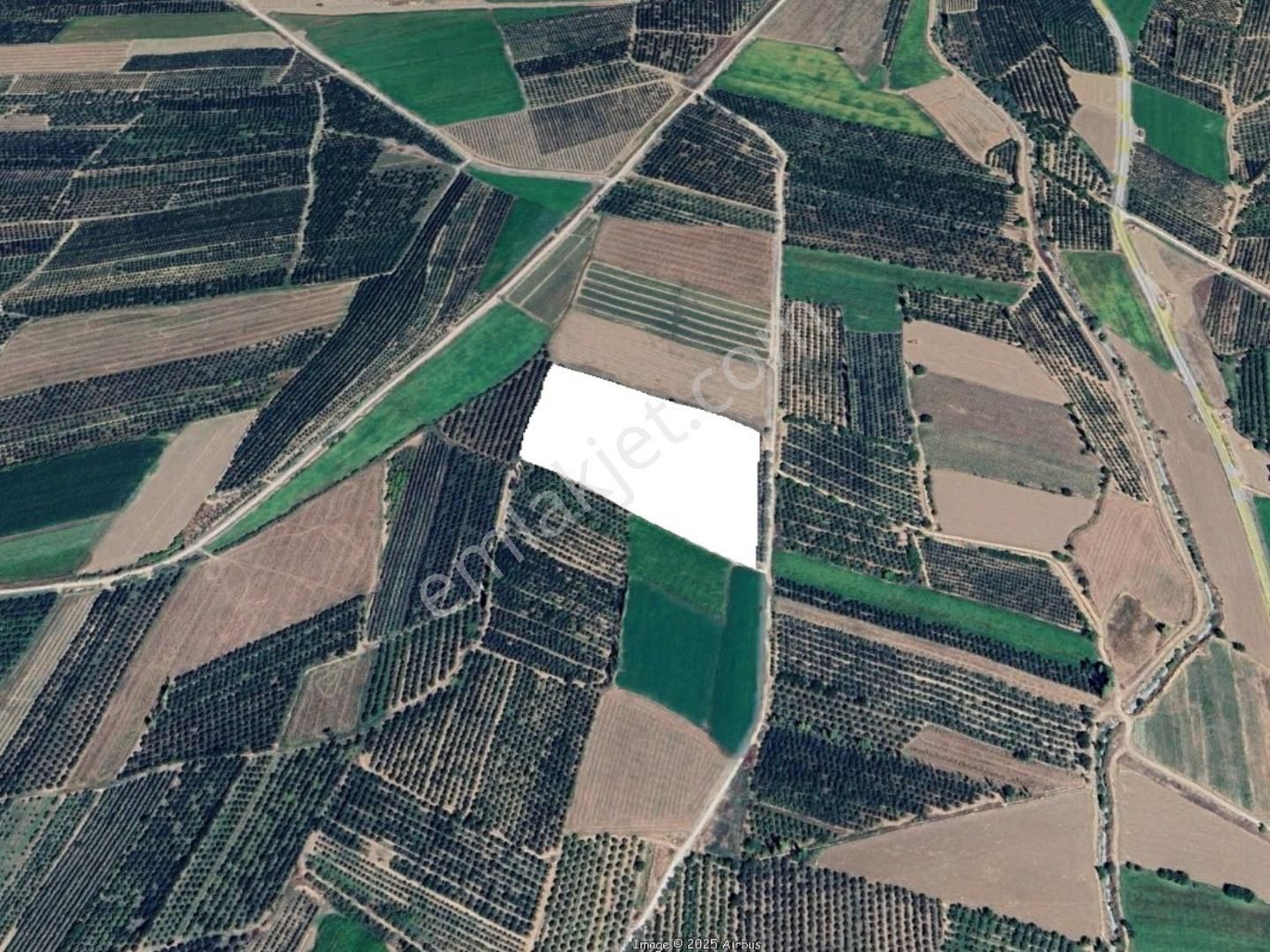 Fed Global / Yeşilhisarda 32.303 M2 Satılık Verimli Elma Bahçesi - Görsel 10