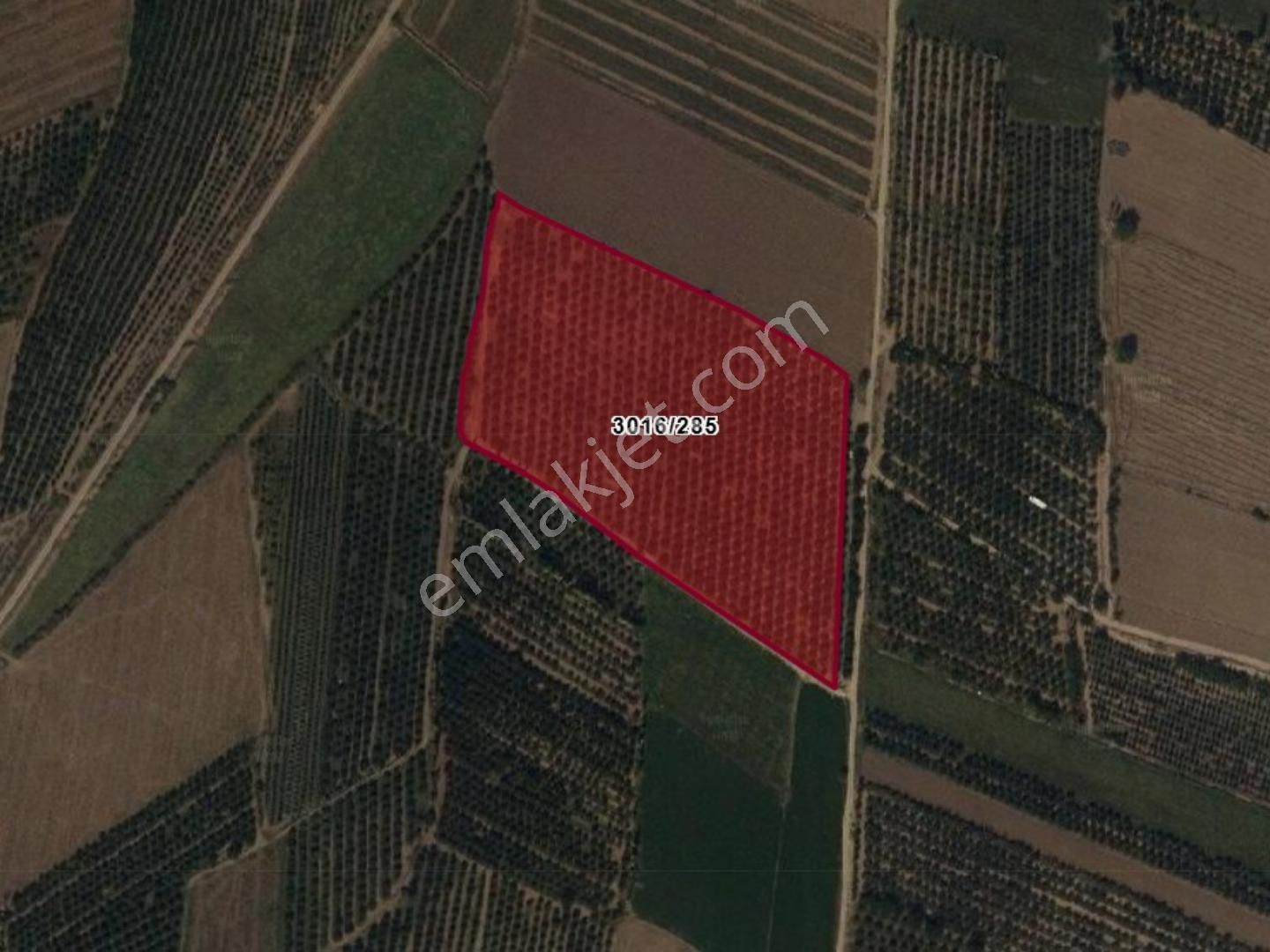 Fed Global / Yeşilhisarda 32.303 M2 Satılık Verimli Elma Bahçesi - Görsel 6