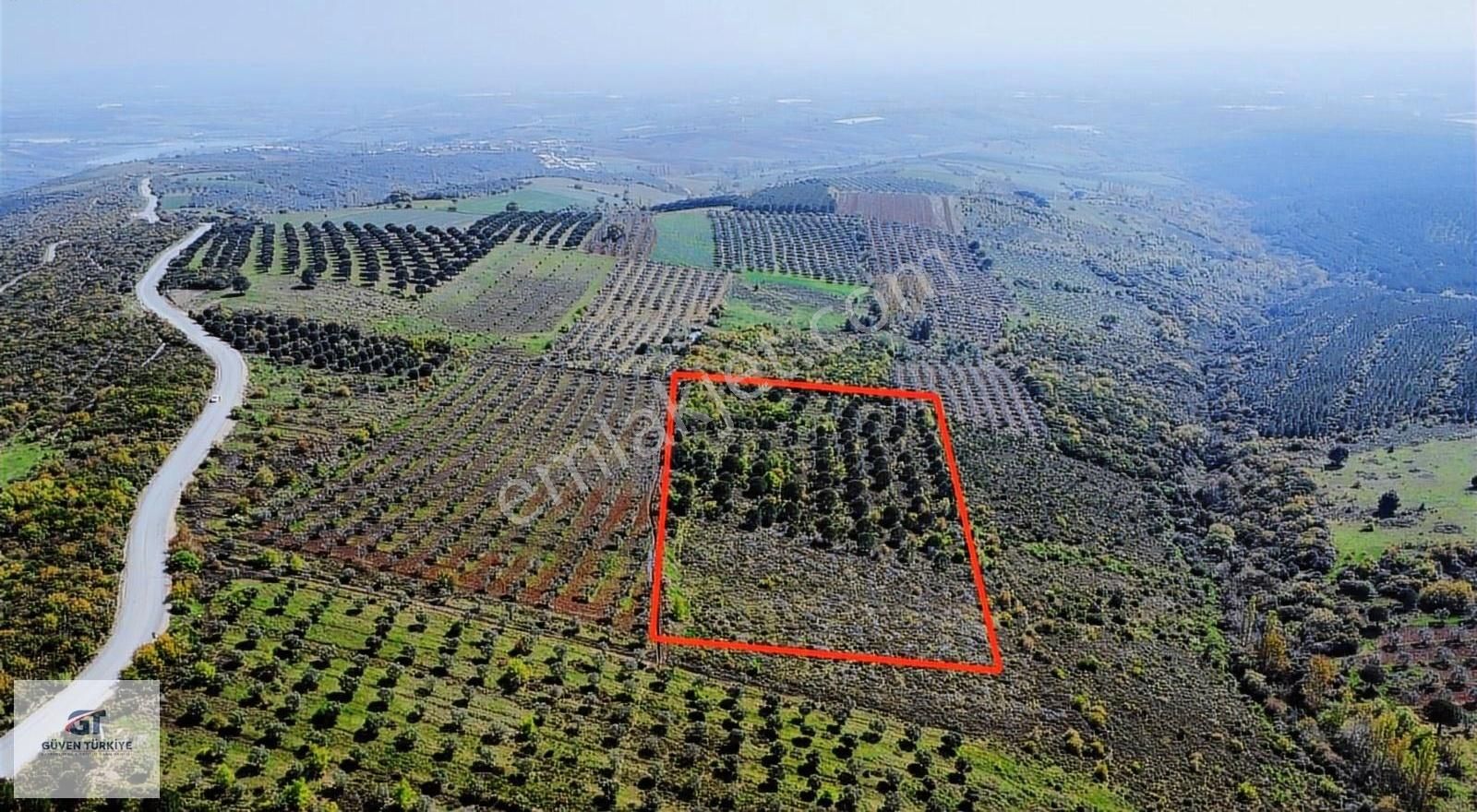 Doğlada Yatırımlık Satılık Arazi