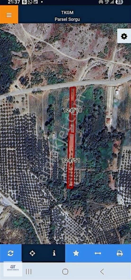 Mesudiye De Asfalta Cephe Yatırımlık Tarla