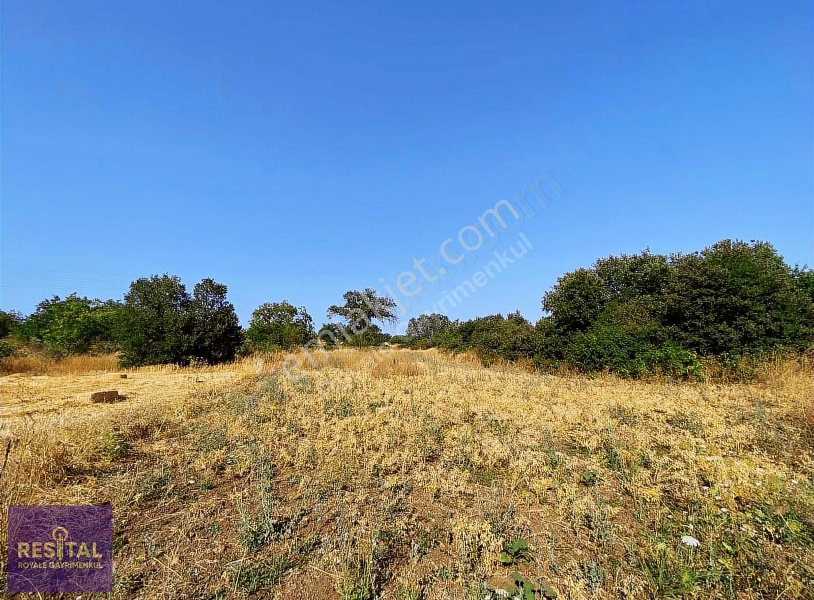 Yolçatı'da Satılık Arazi - Görsel 12