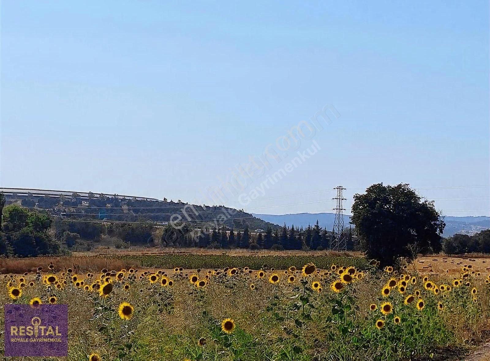 Yolçatı'da Satılık Arazi - Görsel 3