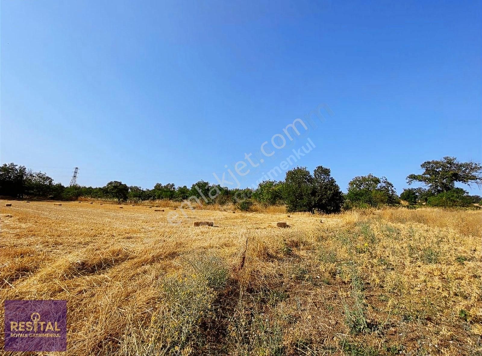 Yolçatı'da Satılık Arazi - Görsel 2