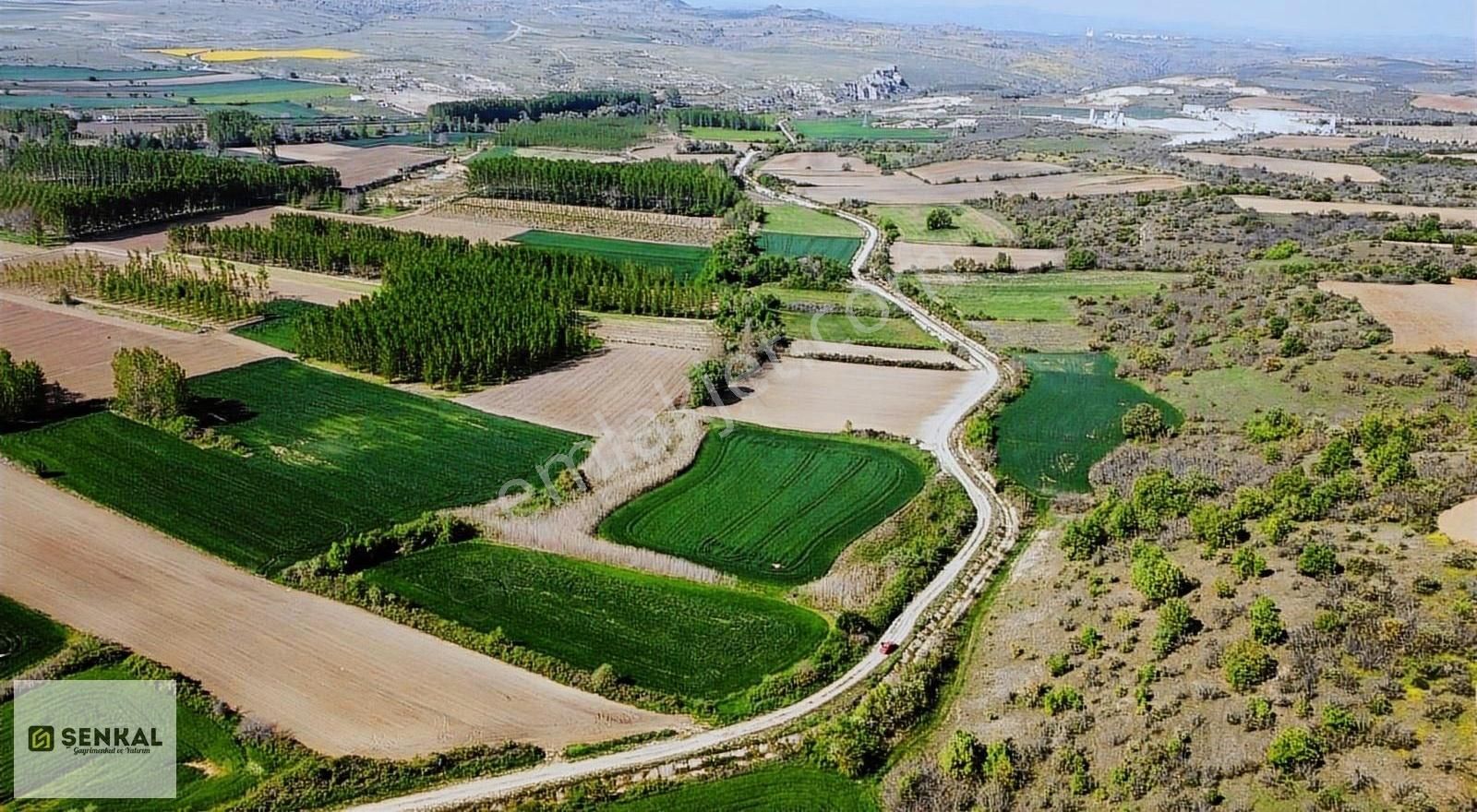 Şenkal Gayrimenkul'den Koyunbaba Köyü'nde Kanal Dibi Tarla