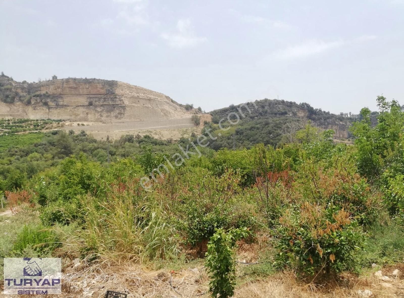 Turyap Sistem'den, Hamzabeyli'de Narenciye Ve Meyve Bahçesi - Görsel 5