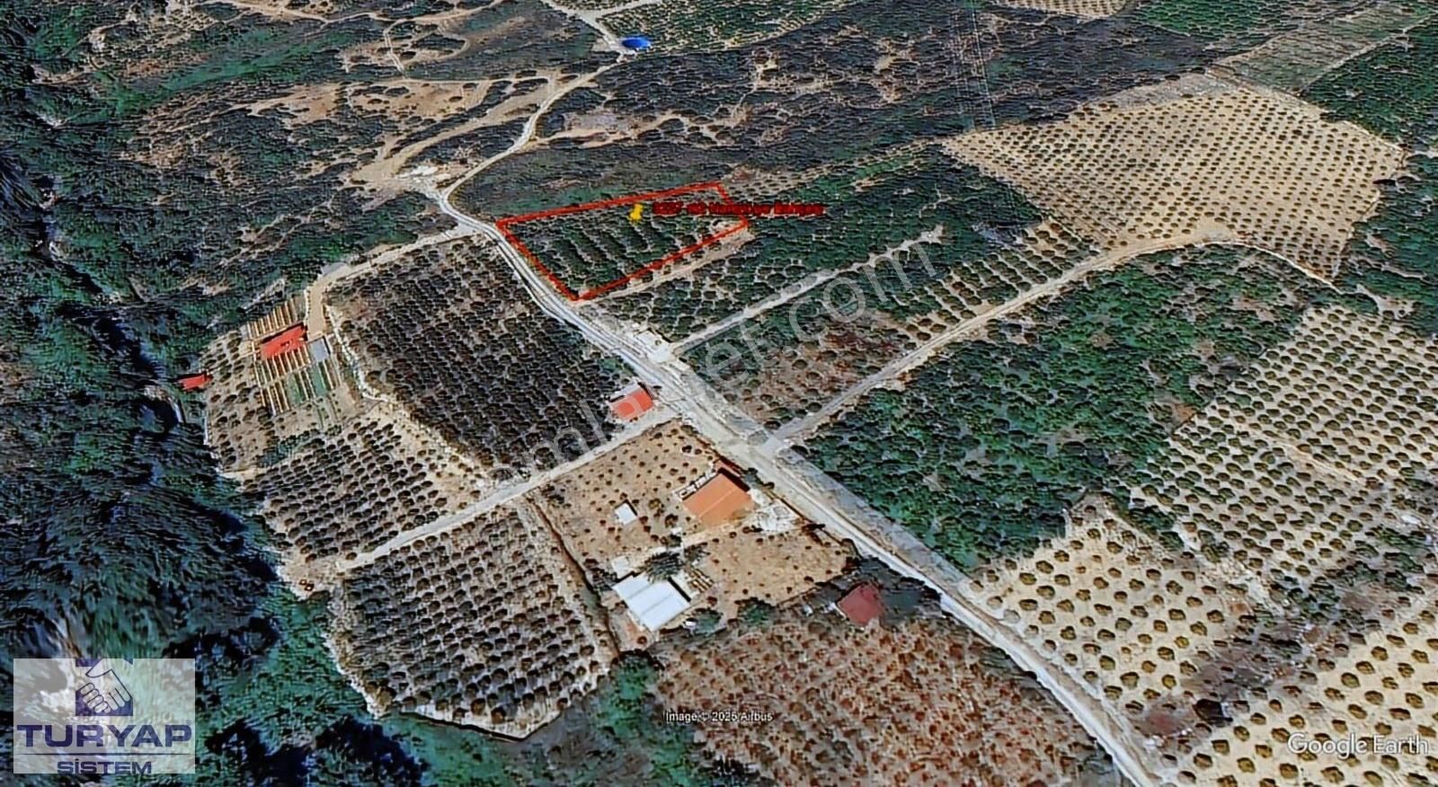 Turyap Sistem'den, Hamzabeyli'de Narenciye Ve Meyve Bahçesi - Görsel 4