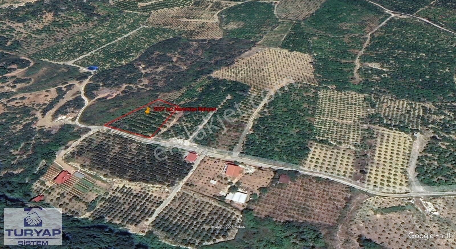 Turyap Sistem'den, Hamzabeyli'de Narenciye Ve Meyve Bahçesi - Görsel 11