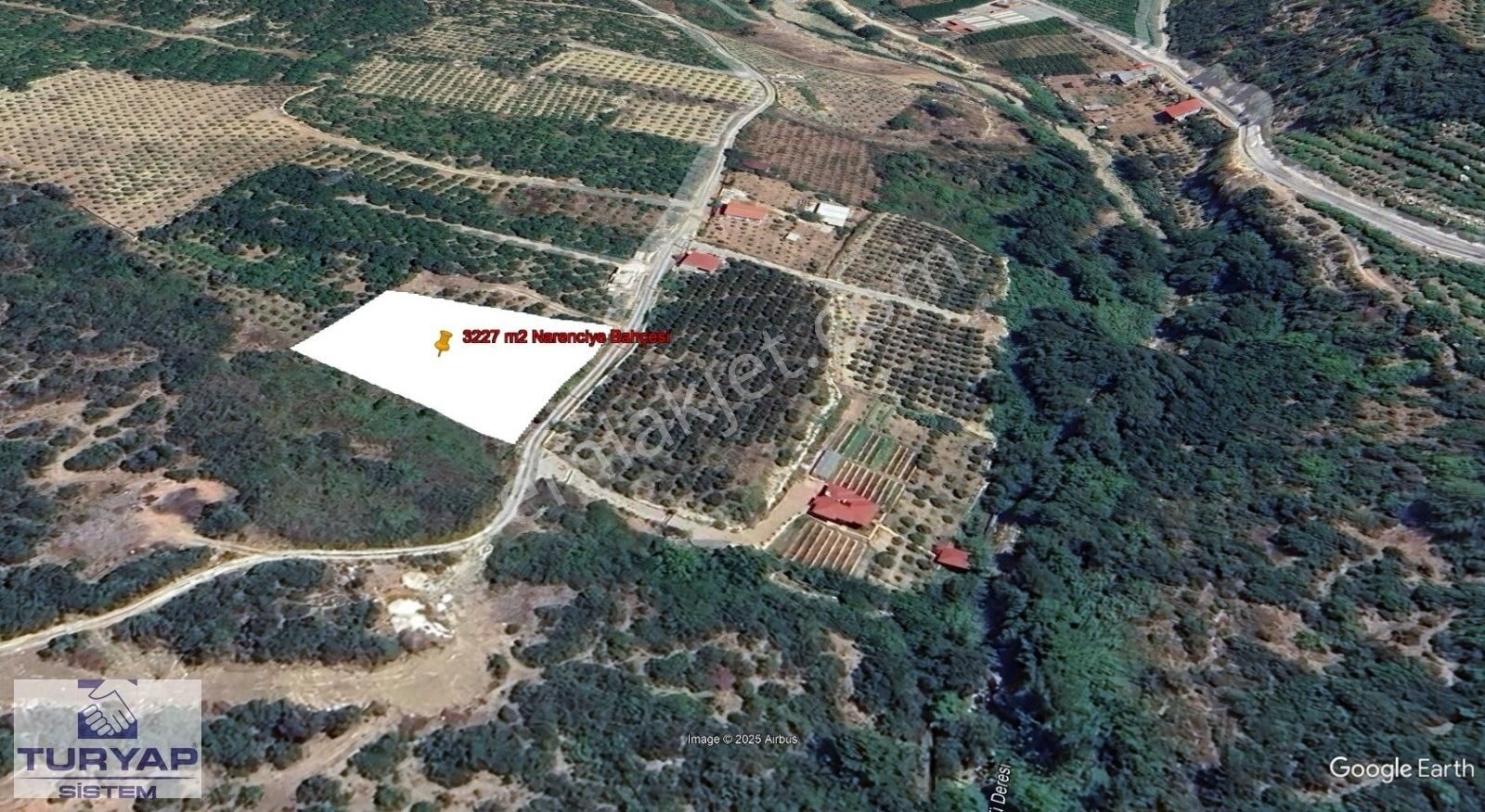 Turyap Sistem'den, Hamzabeyli'de Narenciye Ve Meyve Bahçesi - Görsel 2