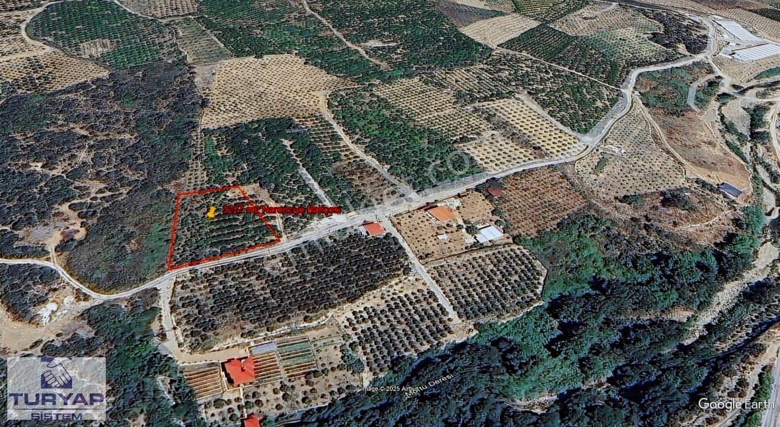 Turyap Sistem'den, Hamzabeyli'de Narenciye Ve Meyve Bahçesi - Görsel 24
