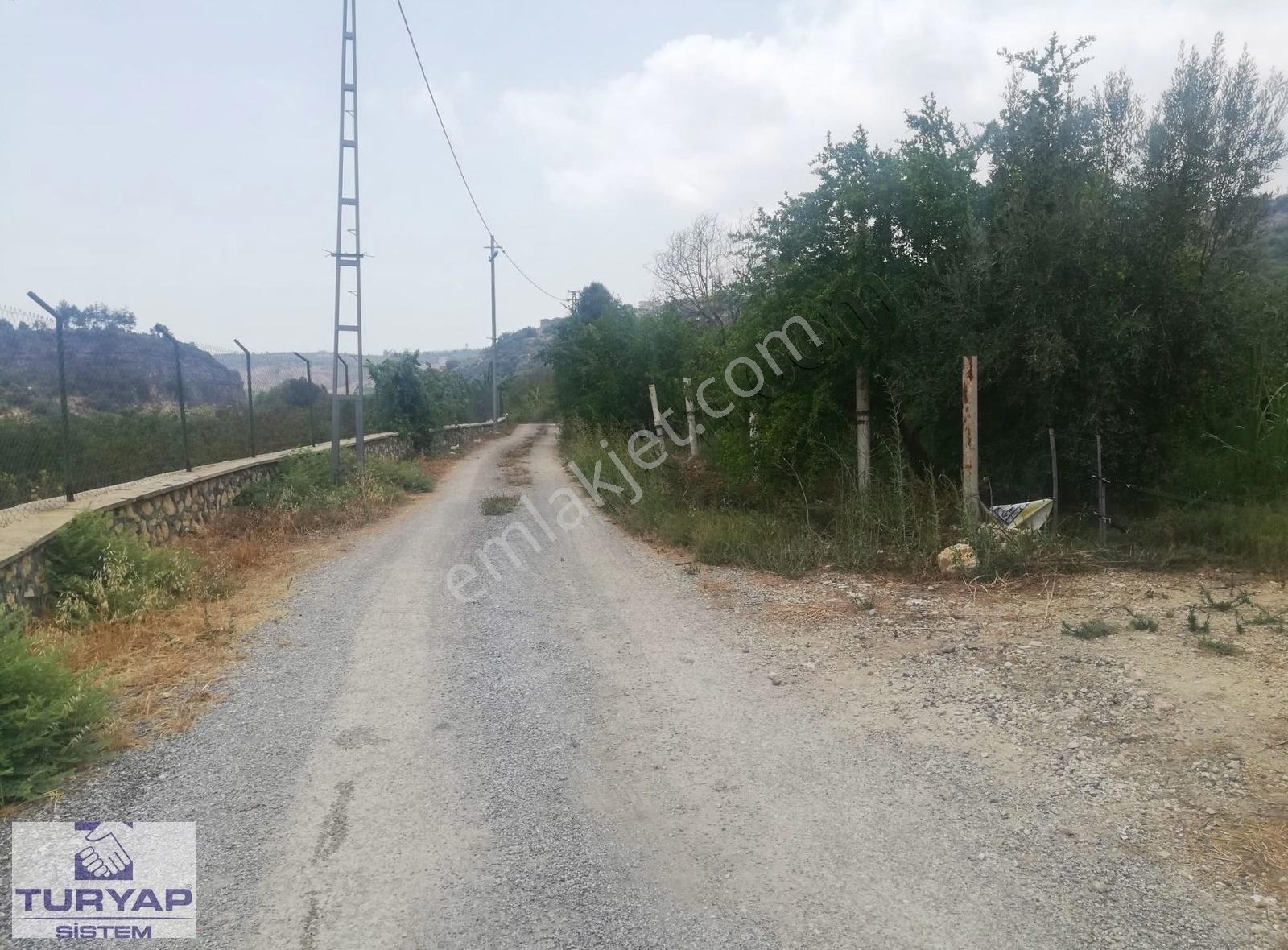Turyap Sistem'den, Hamzabeyli'de Narenciye Ve Meyve Bahçesi - Görsel 12