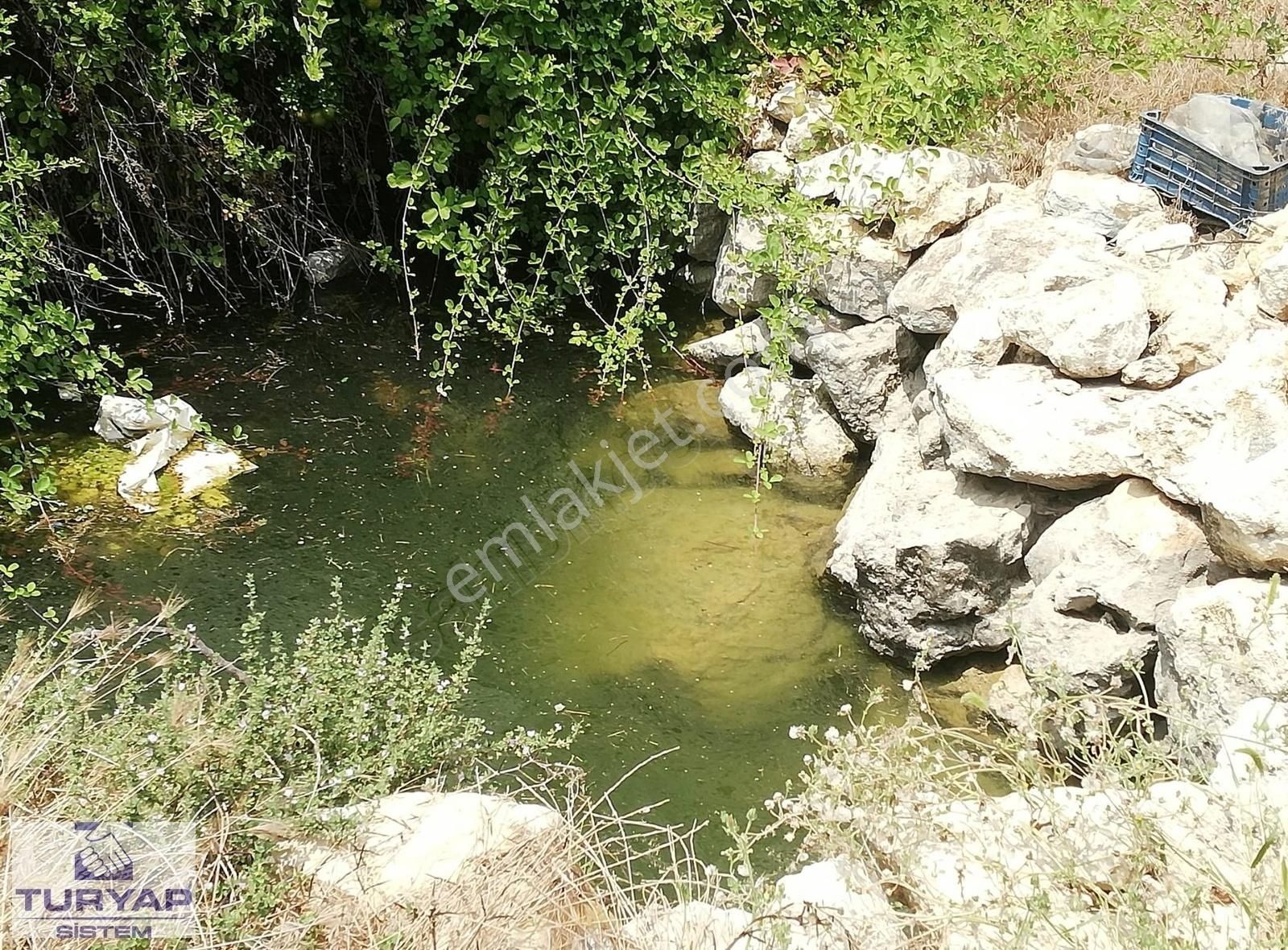 Turyap Sistem'den, Hamzabeyli'de Narenciye Ve Meyve Bahçesi - Görsel 10