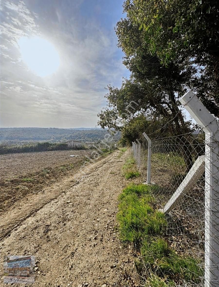 Arnavutköy Balabanda Doğa Harikası 7772 Metre Satılık Arsa - Görsel 8