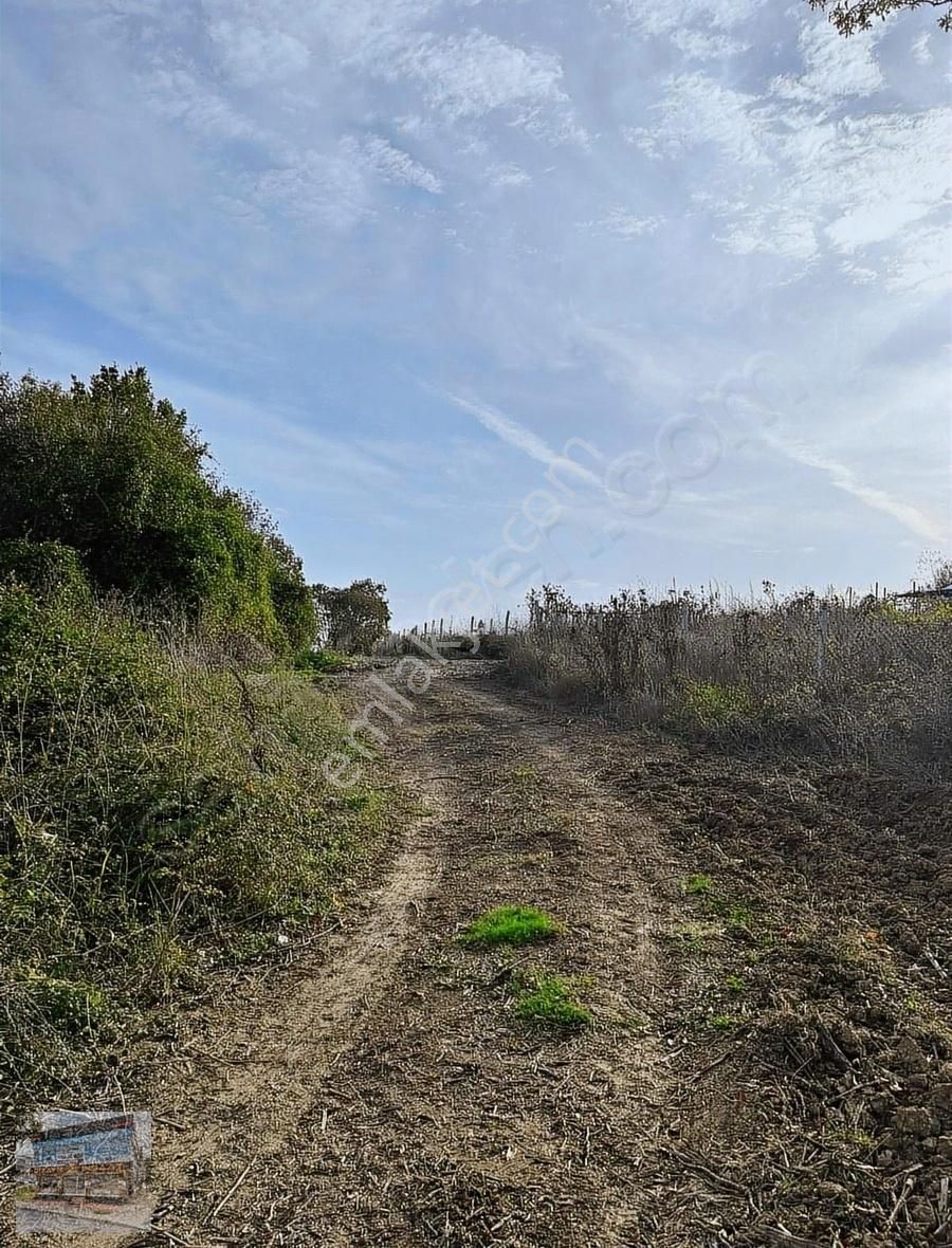 Arnavutköy Balabanda Doğa Harikası 7772 Metre Satılık Arsa - Görsel 3