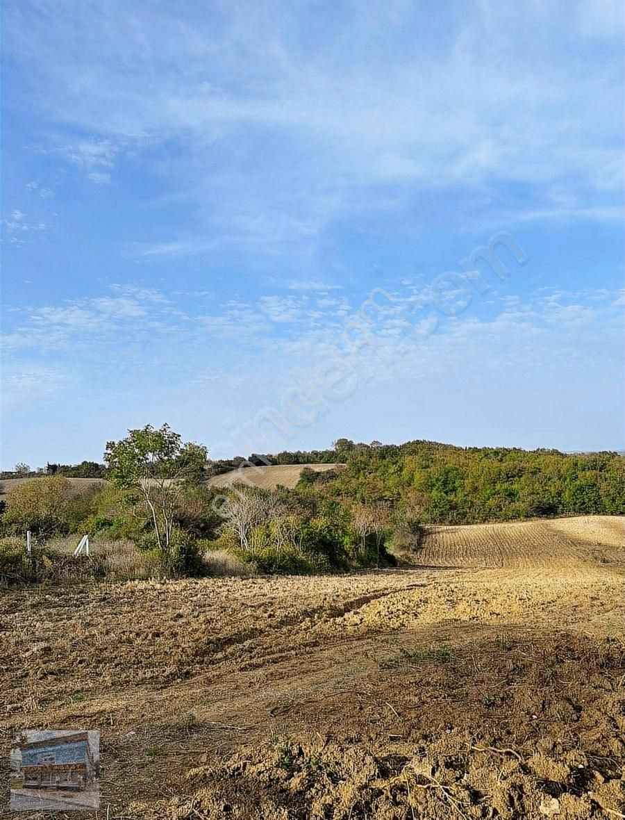 Arnavutköy Balabanda Doğa Harikası 7772 Metre Satılık Arsa - Görsel 7