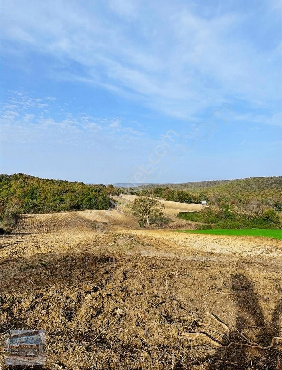 Arnavutköy Balabanda Doğa Harikası 7772 Metre Satılık Arsa - Görsel 6