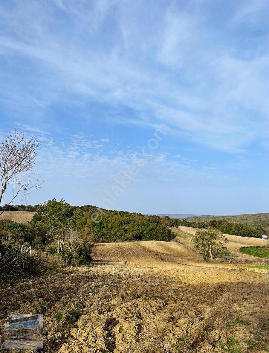 Arnavutköy Balabanda Doğa Harikası 7772 Metre Satılık Arsa - Görsel 2