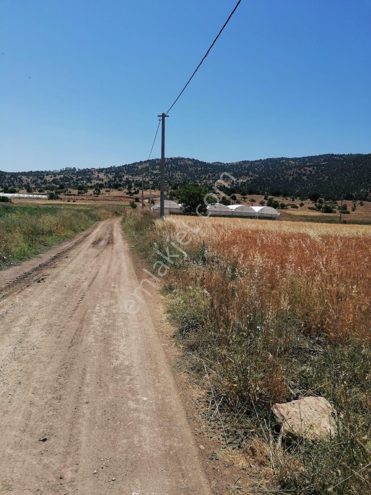 Muğla Seydikemer Doğanlar Mahallesinde Satılık Tarla - Görsel 7