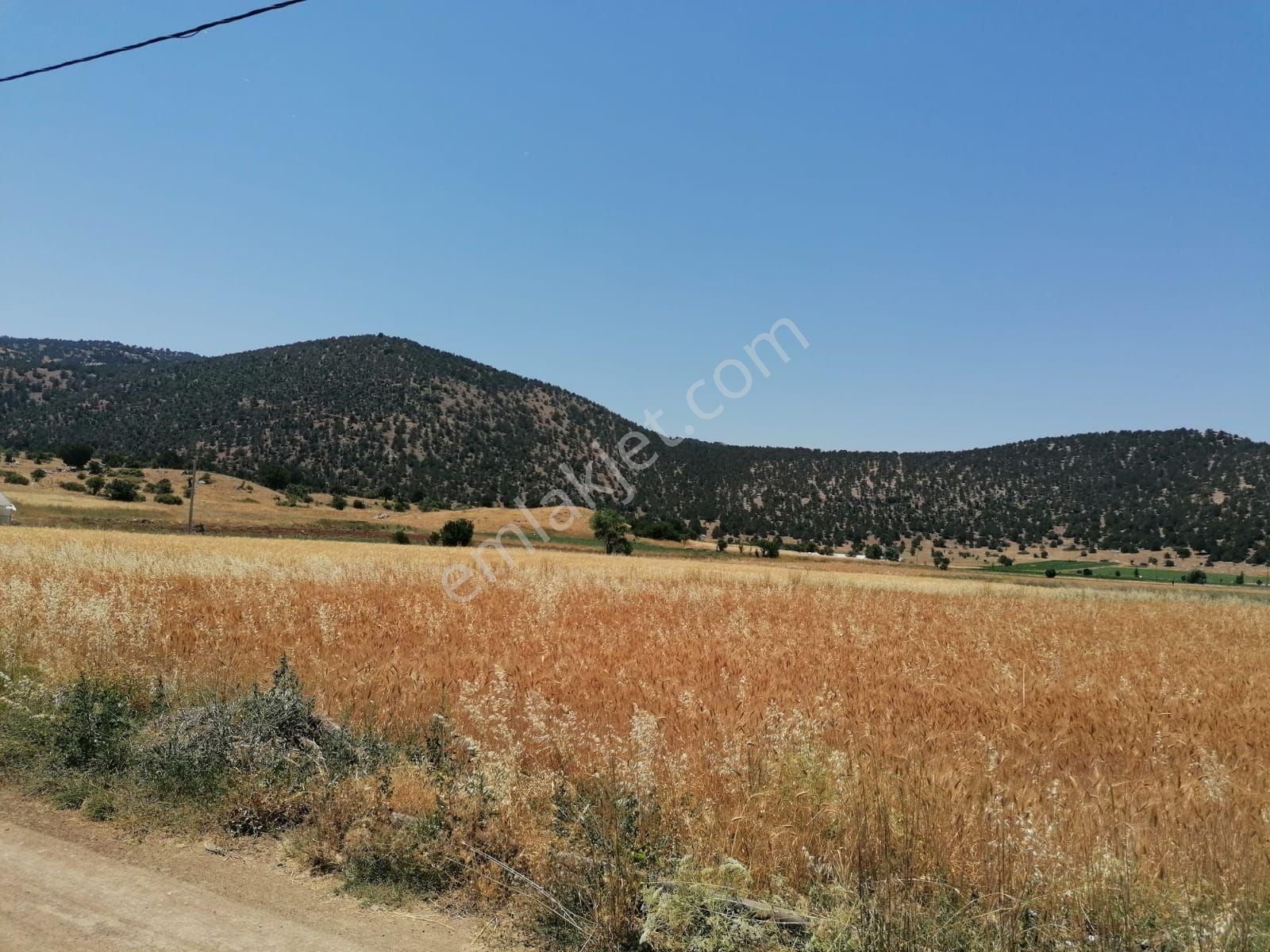 Muğla Seydikemer Doğanlar Mahallesinde Satılık Tarla - Görsel 18