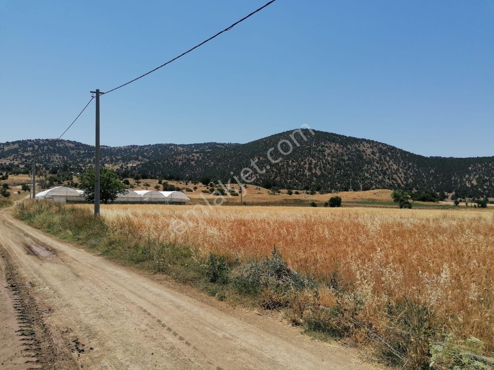 Muğla Seydikemer Doğanlar Mahallesinde Satılık Tarla - Görsel 17