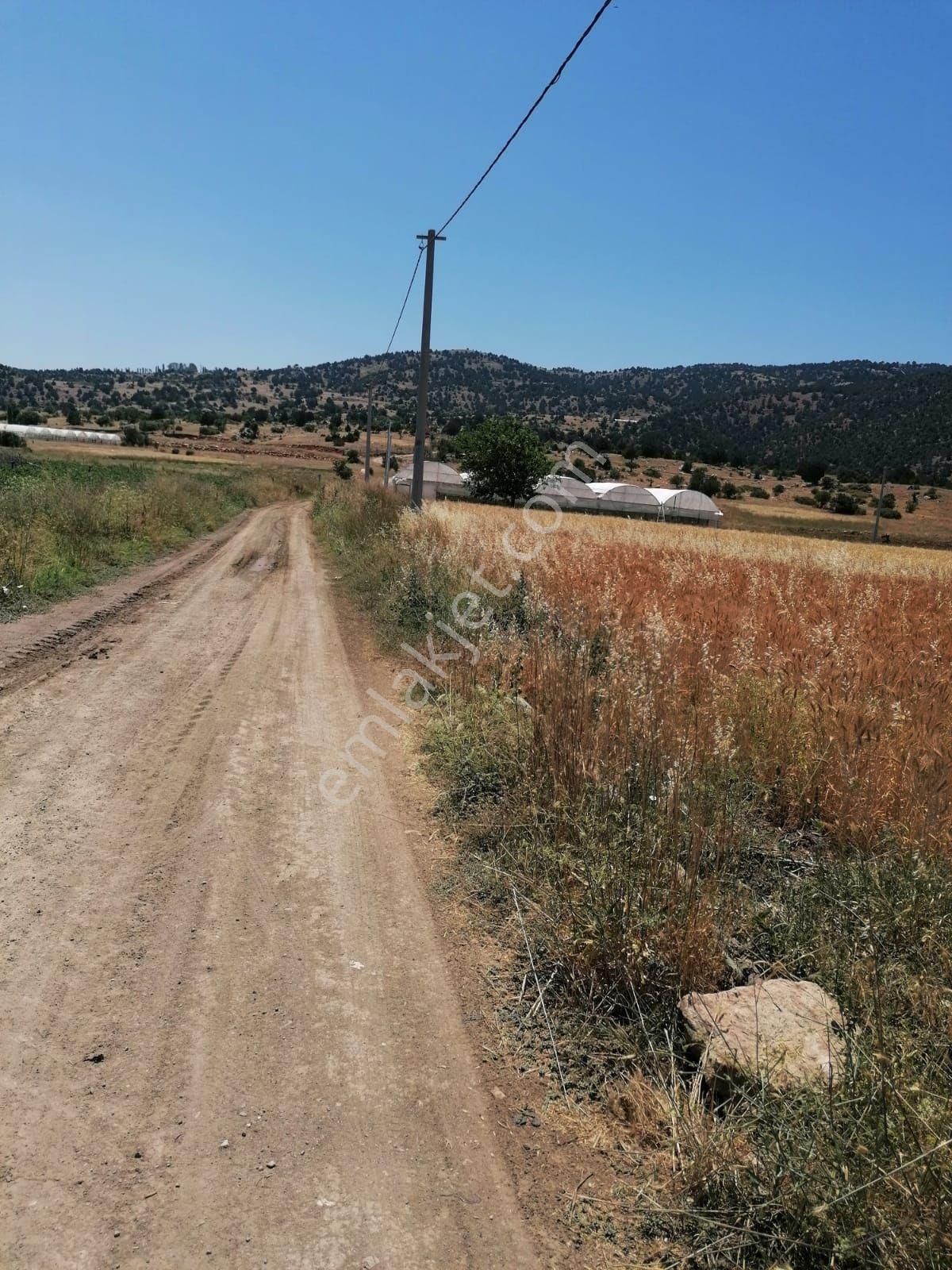 Muğla Seydikemer Doğanlar Mahallesinde Satılık Tarla - Görsel 25