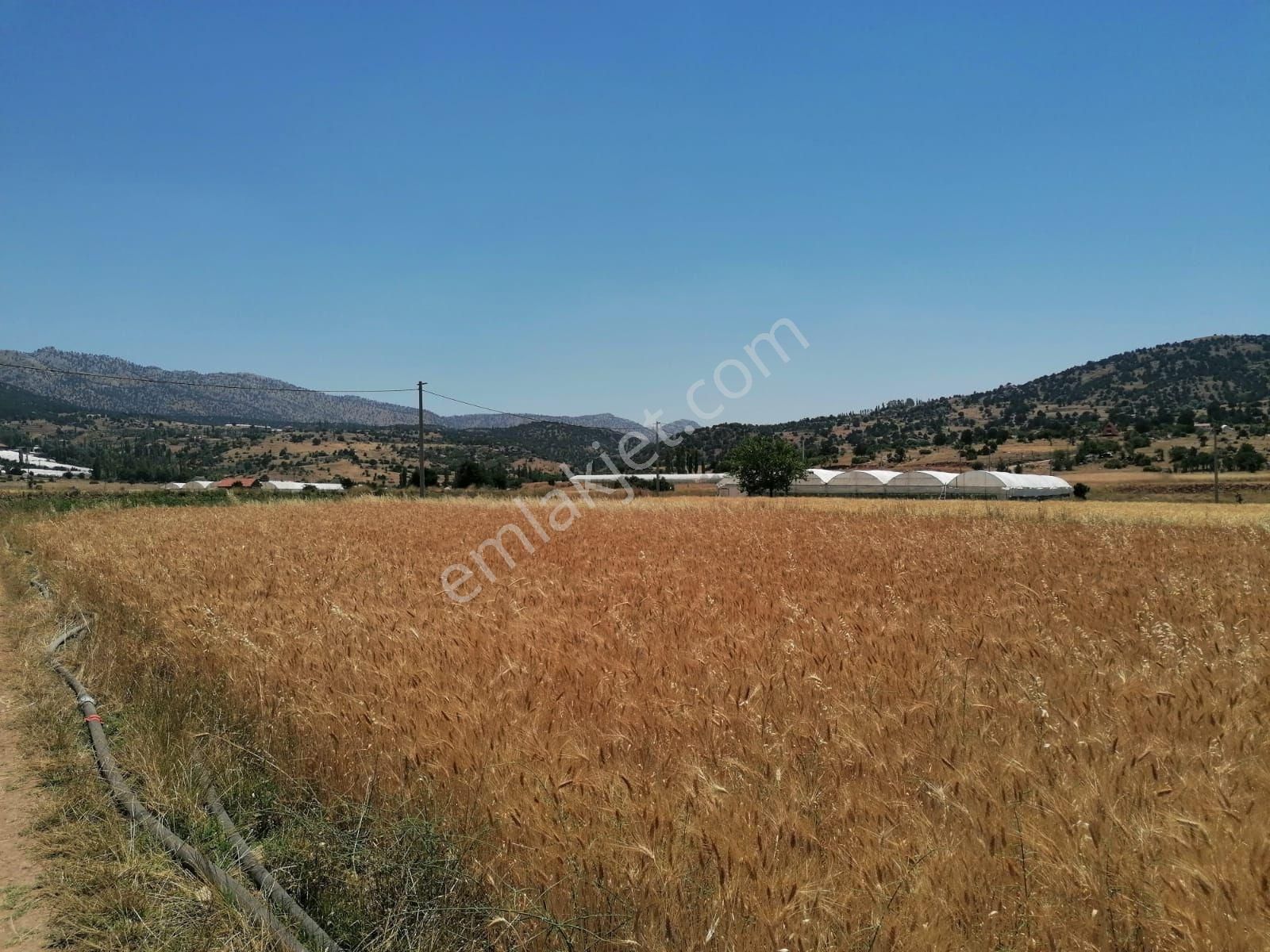 Muğla Seydikemer Doğanlar Mahallesinde Satılık Tarla - Görsel 8