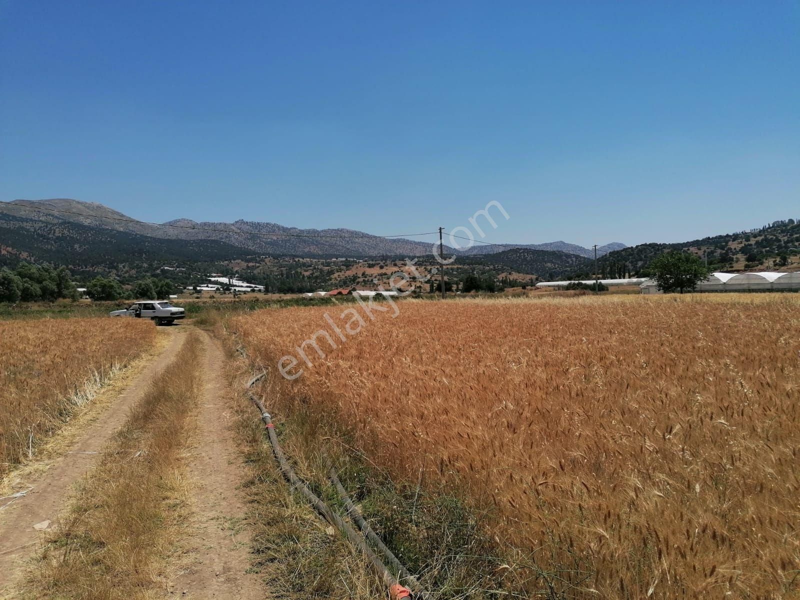 Muğla Seydikemer Doğanlar Mahallesinde Satılık Tarla - Görsel 10