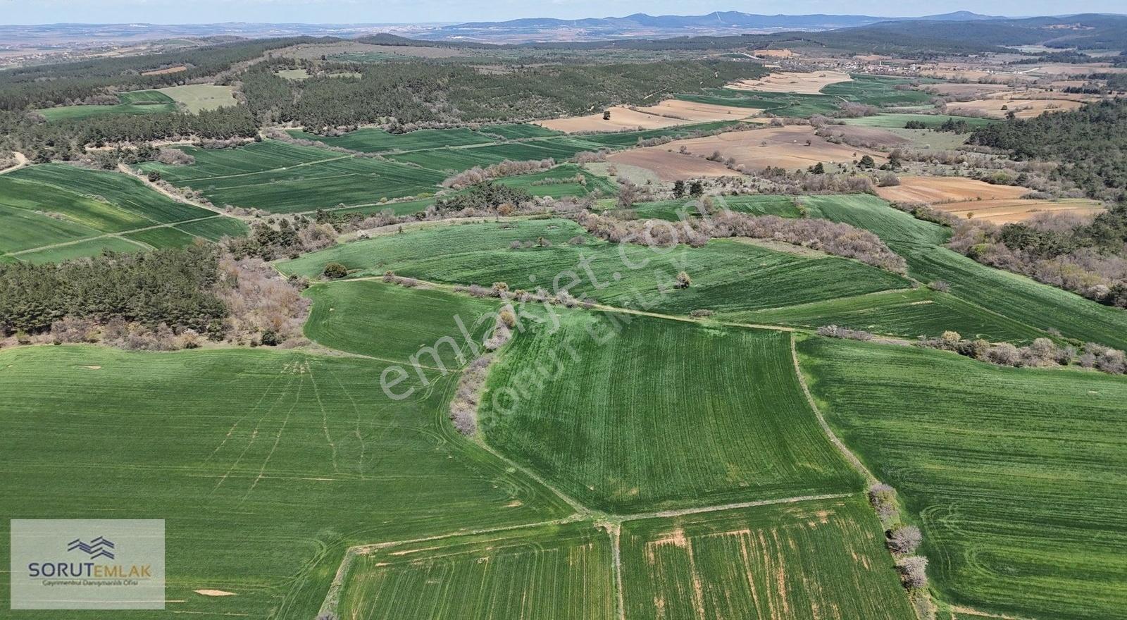 Çeltik Köyün'de Kadastro Yoluna Cepheli Satılık 15.728m2 Tarla - Görsel 31