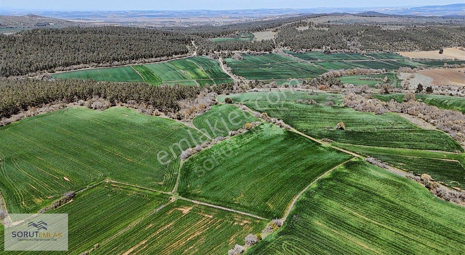 Çeltik Köyün'de Kadastro Yoluna Cepheli Satılık 15.728m2 Tarla - Görsel 15