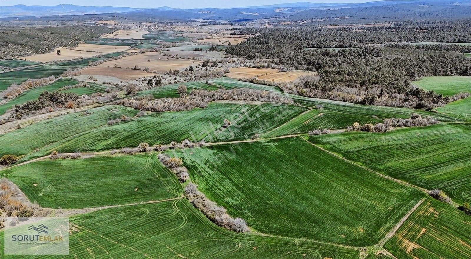 Çeltik Köyün'de Kadastro Yoluna Cepheli Satılık 15.728m2 Tarla - Görsel 25