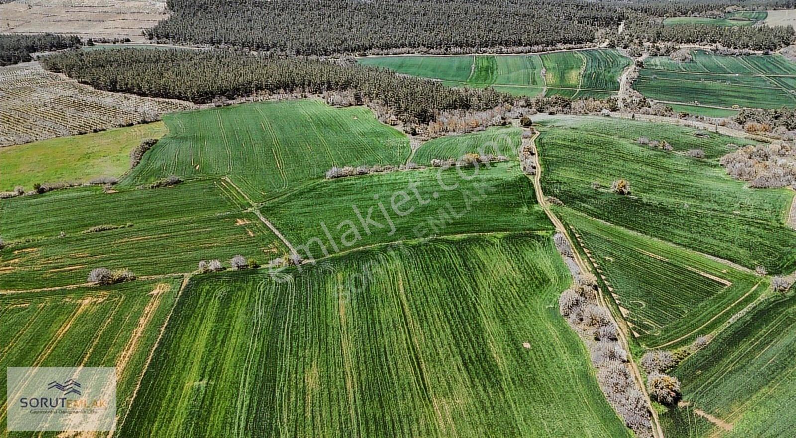 Çeltik Köyün'de Kadastro Yoluna Cepheli Satılık 15.728m2 Tarla - Görsel 27