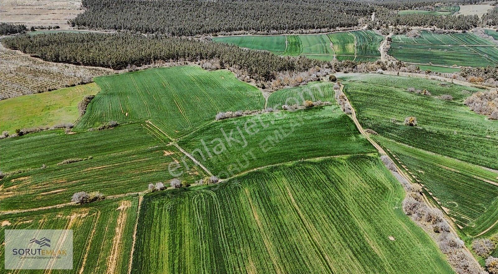 Çeltik Köyün'de Kadastro Yoluna Cepheli Satılık 15.728m2 Tarla - Görsel 22