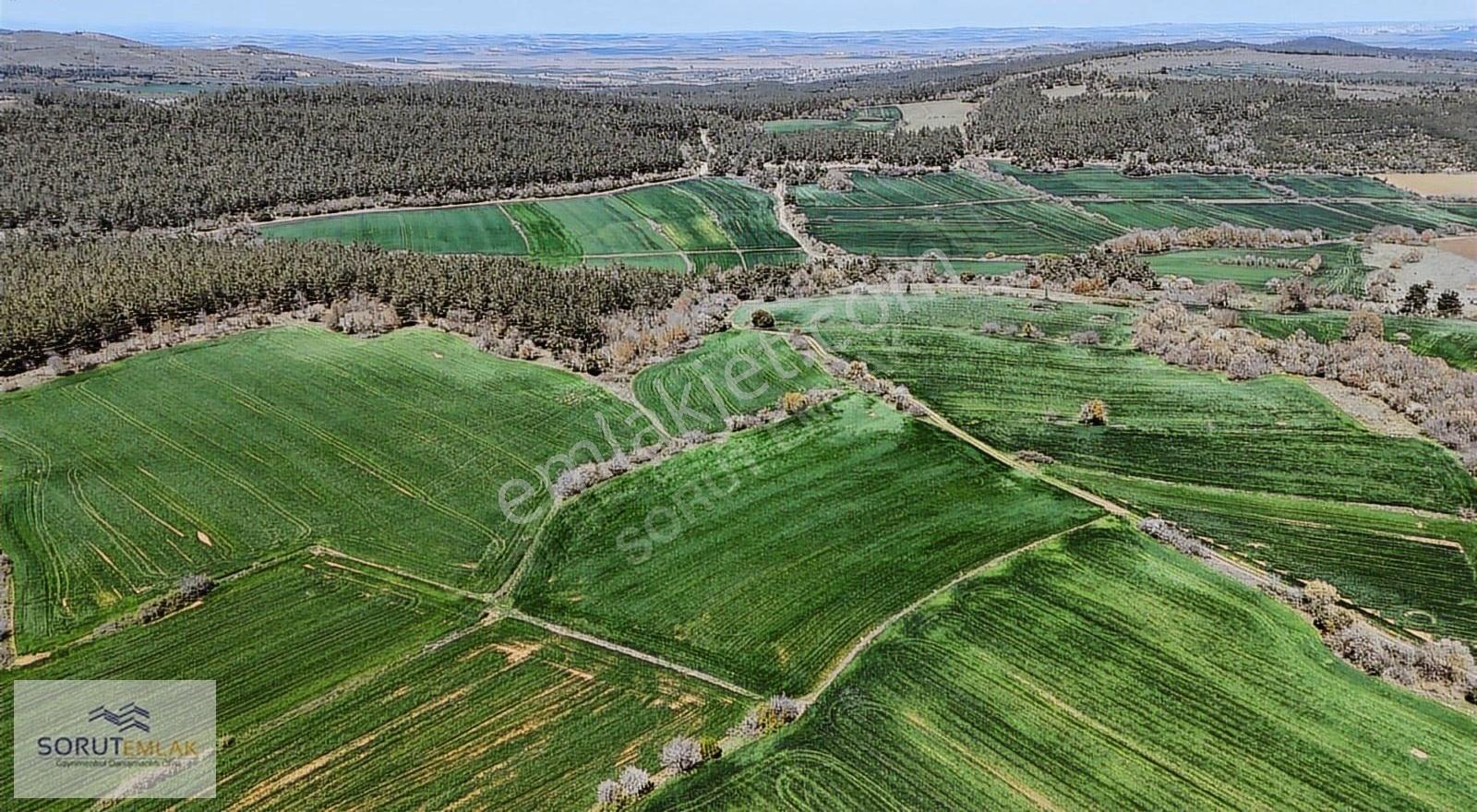 Çeltik Köyün'de Kadastro Yoluna Cepheli Satılık 15.728m2 Tarla - Görsel 26