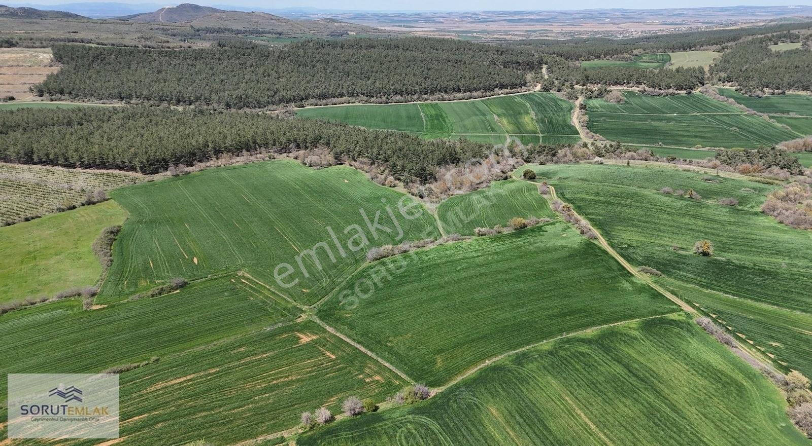 Çeltik Köyün'de Kadastro Yoluna Cepheli Satılık 15.728m2 Tarla - Görsel 33