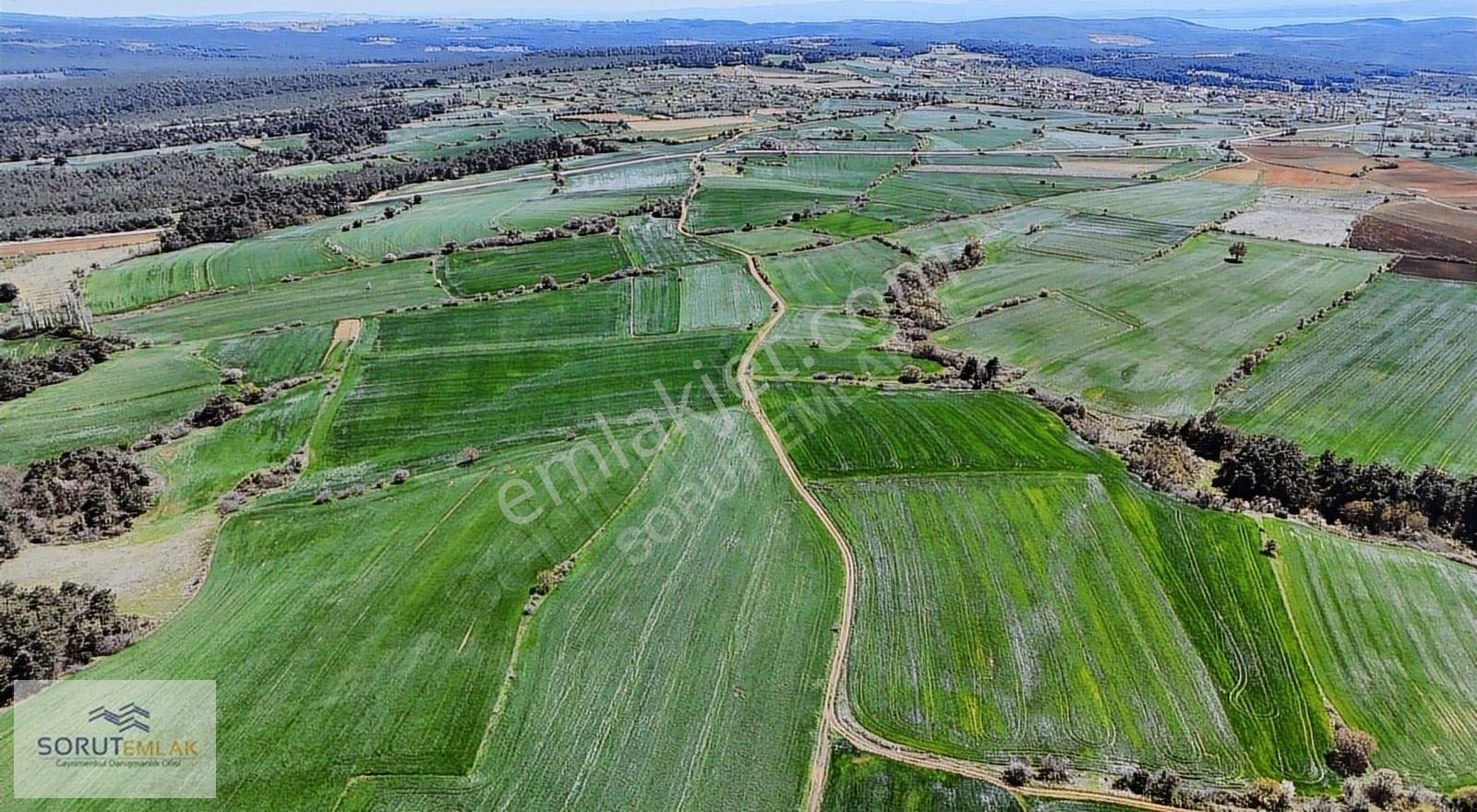 Çeltik Köyün'de Kadastro Yoluna Cepheli Satılık 15.728m2 Tarla - Görsel 10
