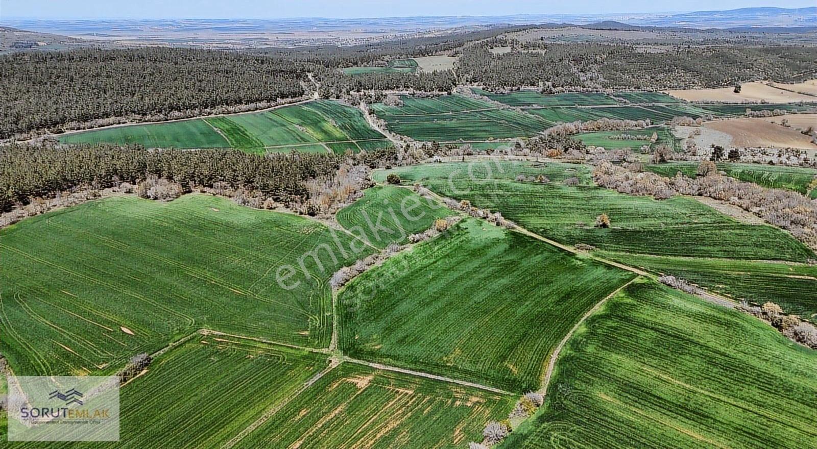 Çeltik Köyün'de Kadastro Yoluna Cepheli Satılık 15.728m2 Tarla - Görsel 34