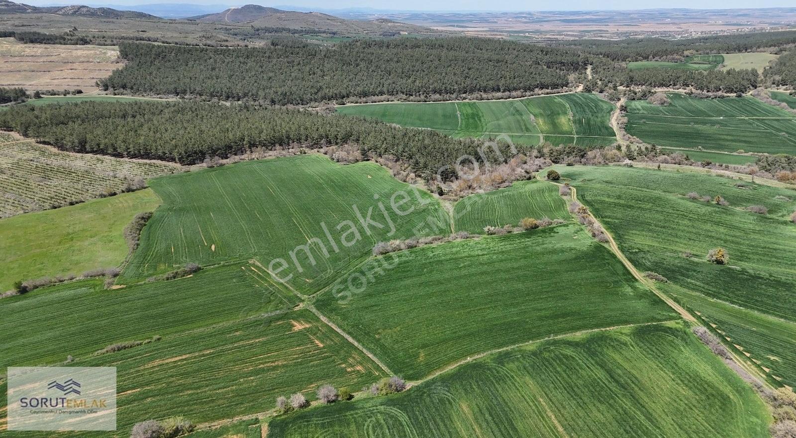 Çeltik Köyün'de Kadastro Yoluna Cepheli Satılık 15.728m2 Tarla - Görsel 28